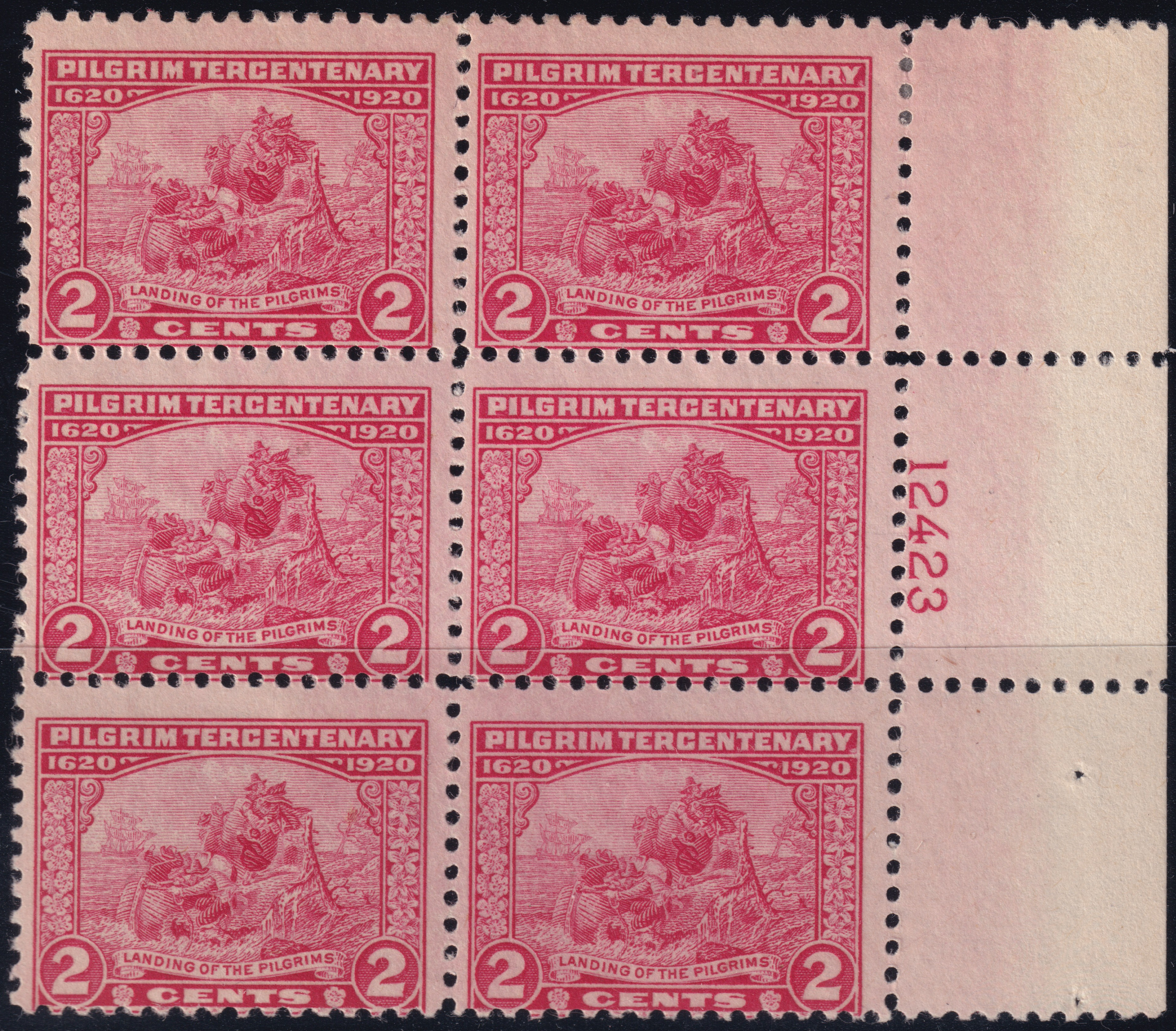 Stamp Picture