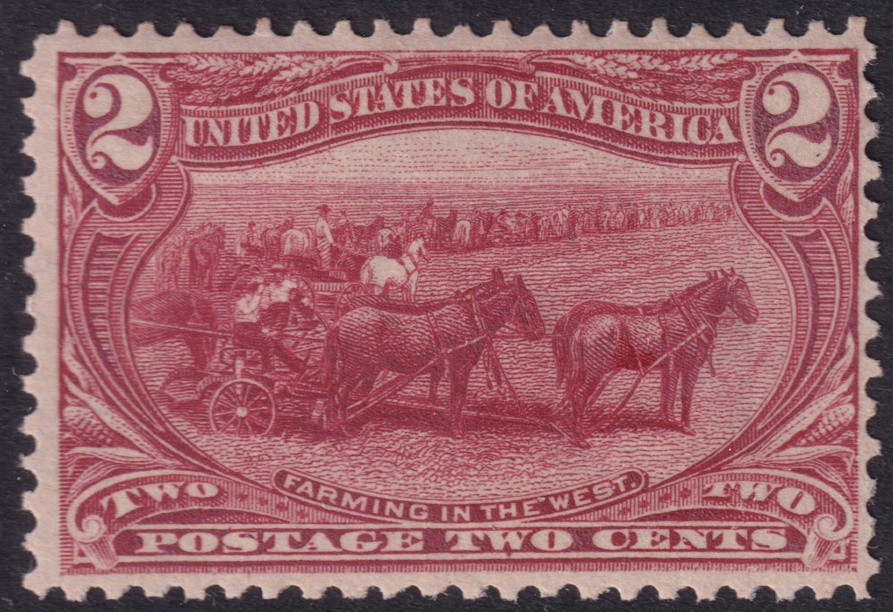 Stamp Picture