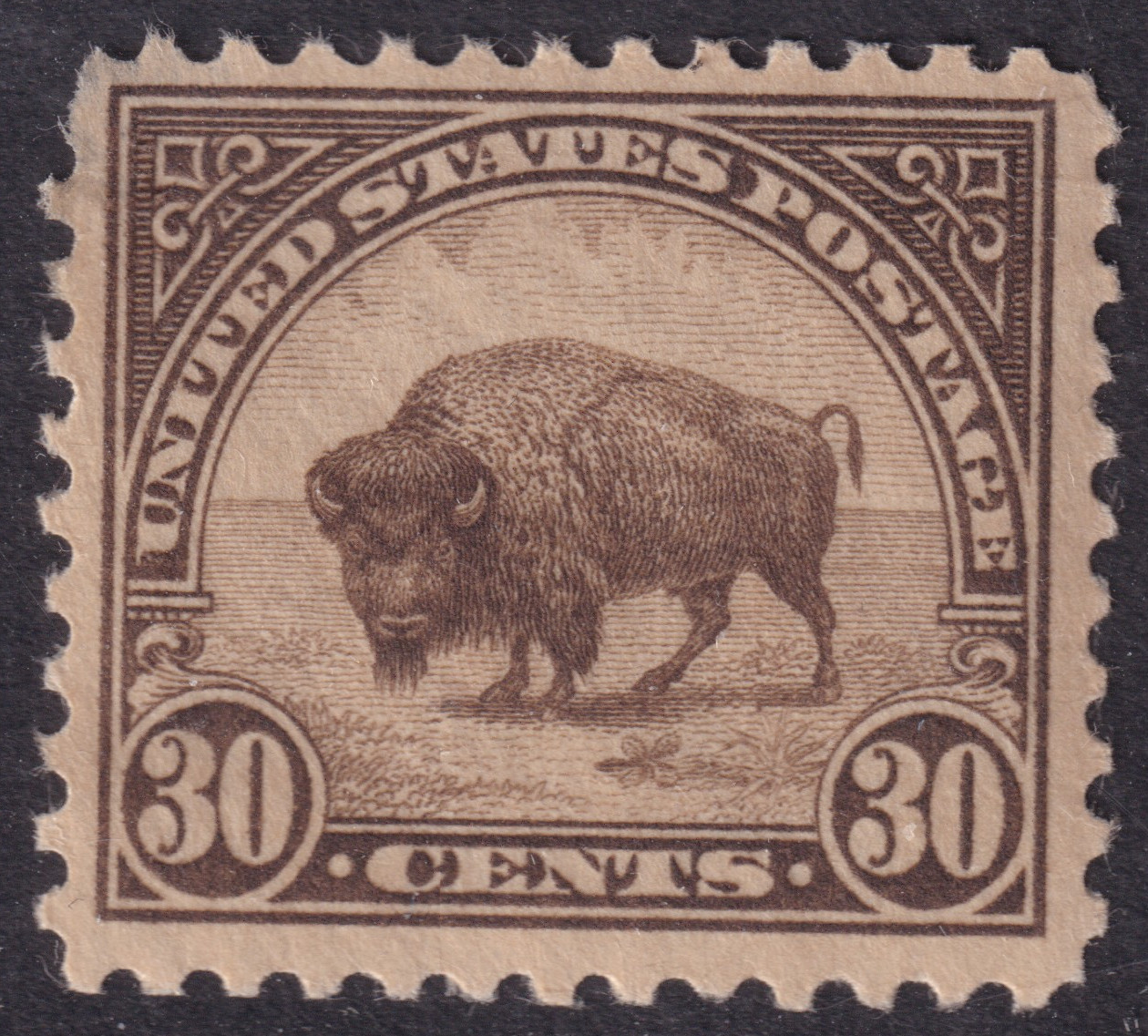 Stamp Picture