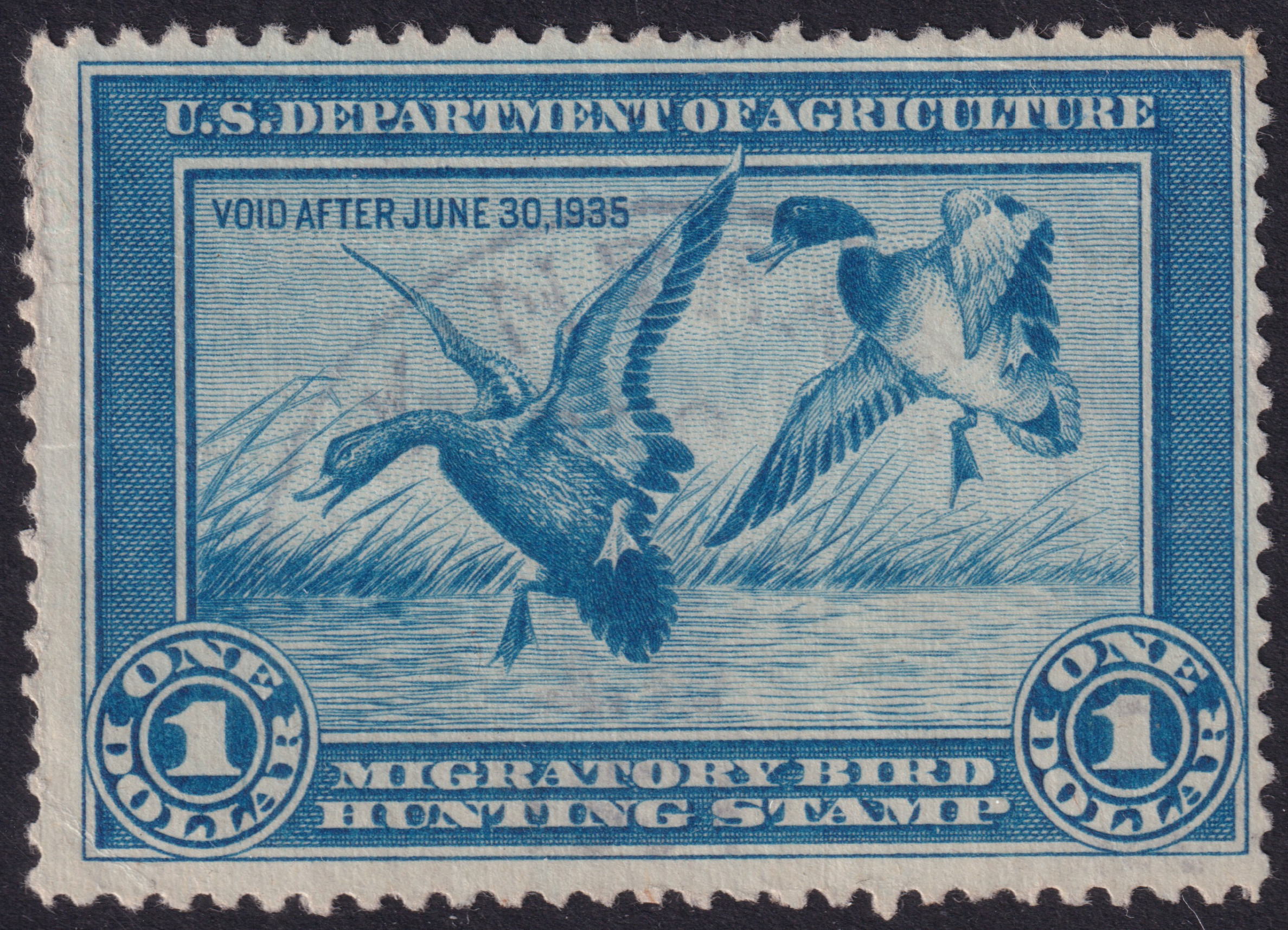 Stamp Picture
