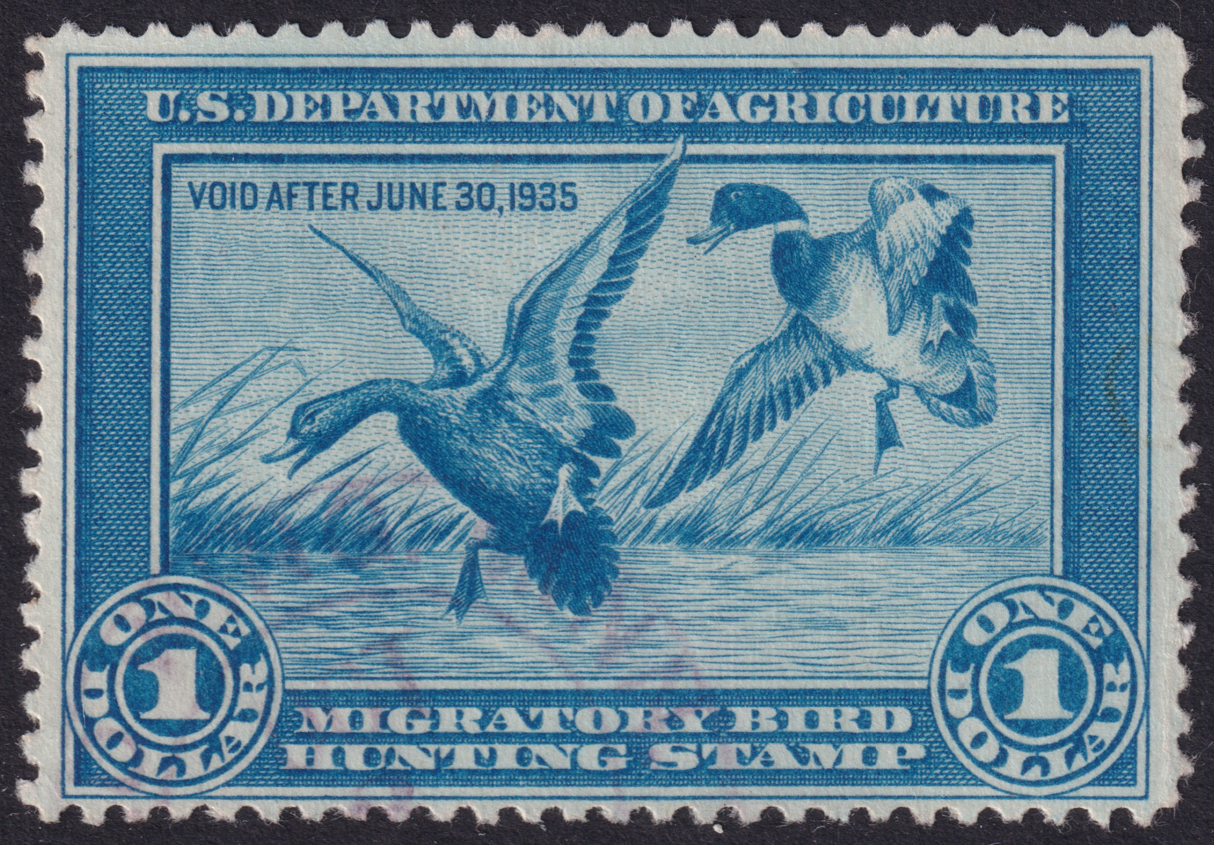 Stamp Picture
