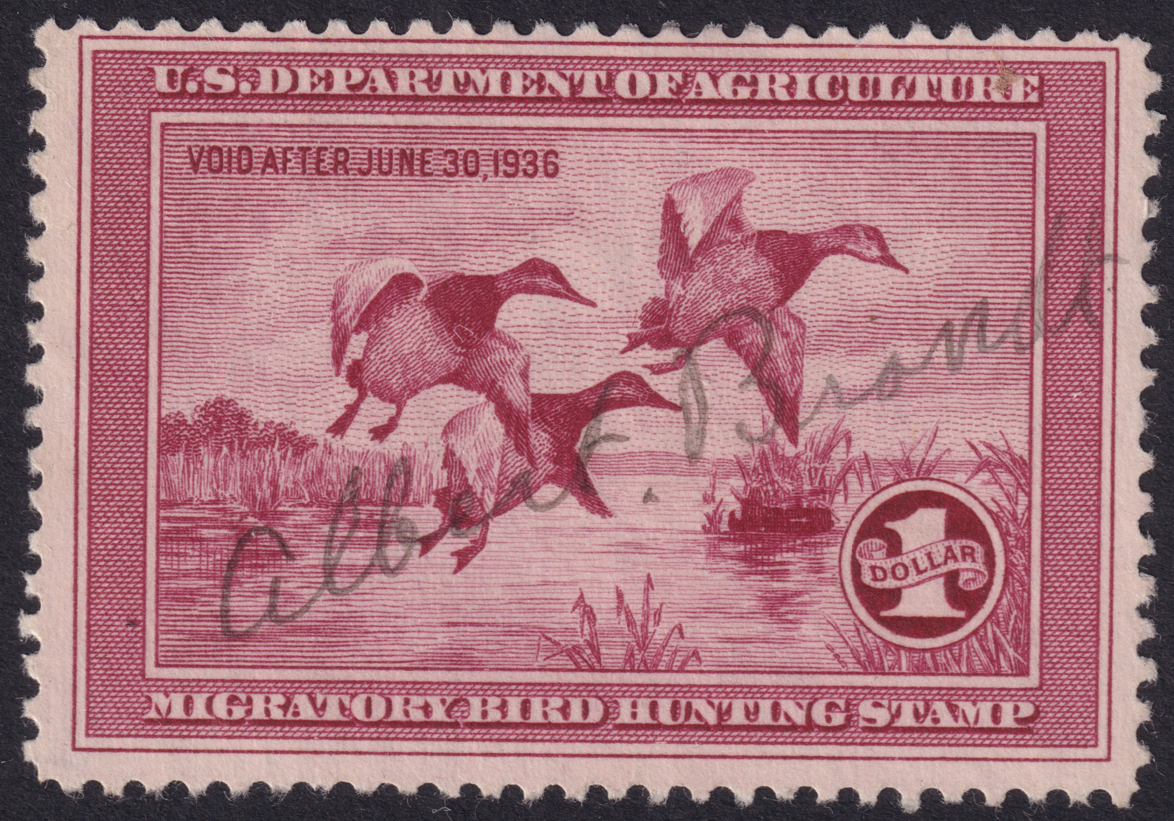 Stamp Picture