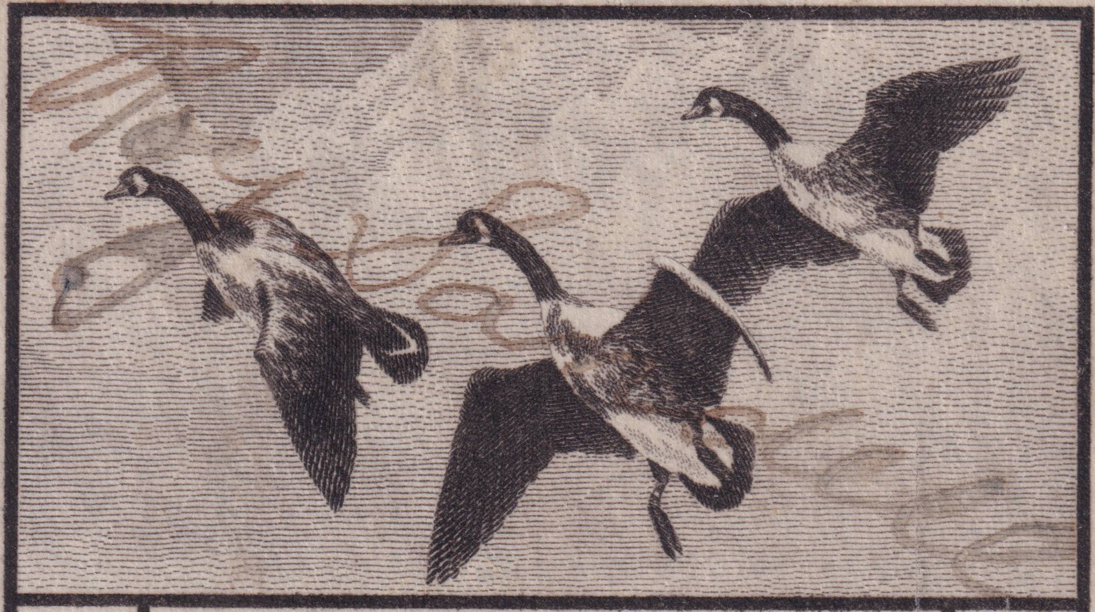 Stamp Picture