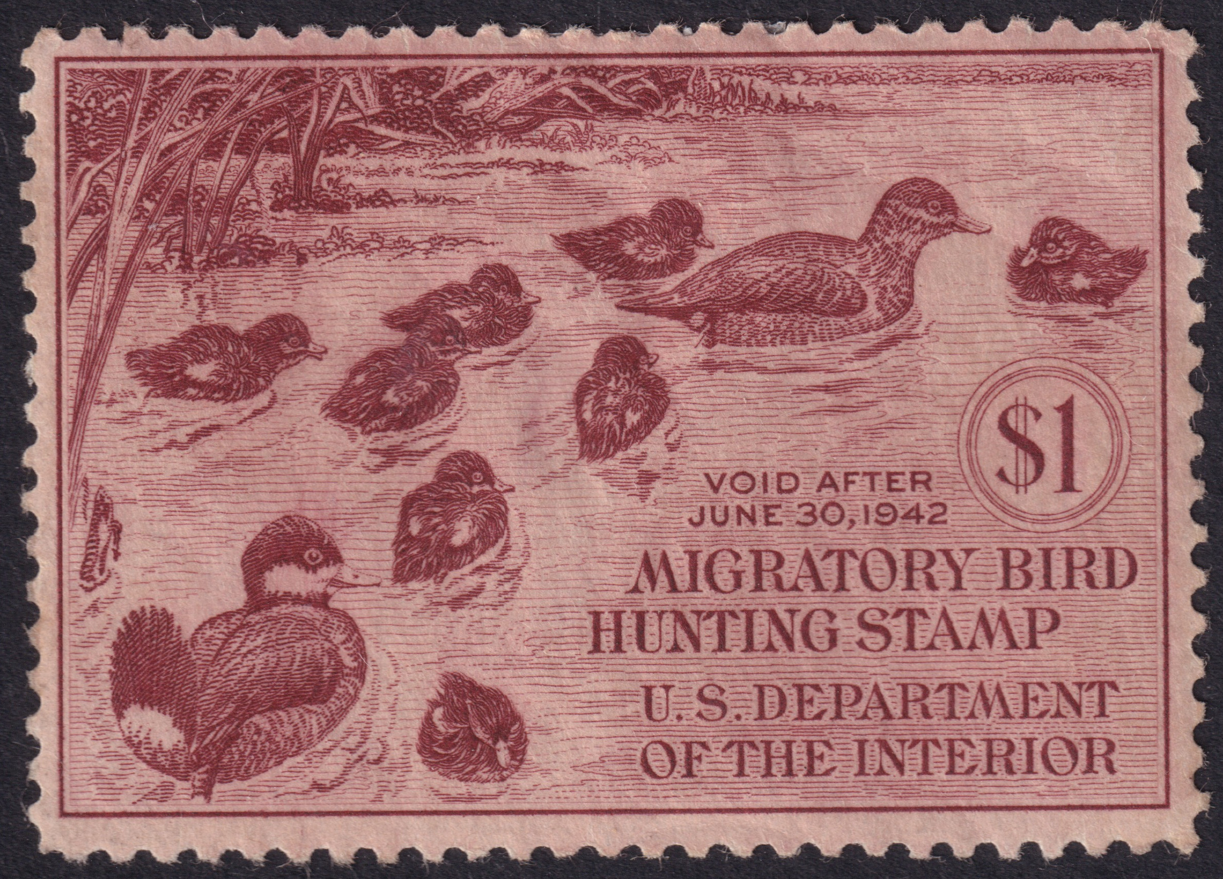 Stamp Picture