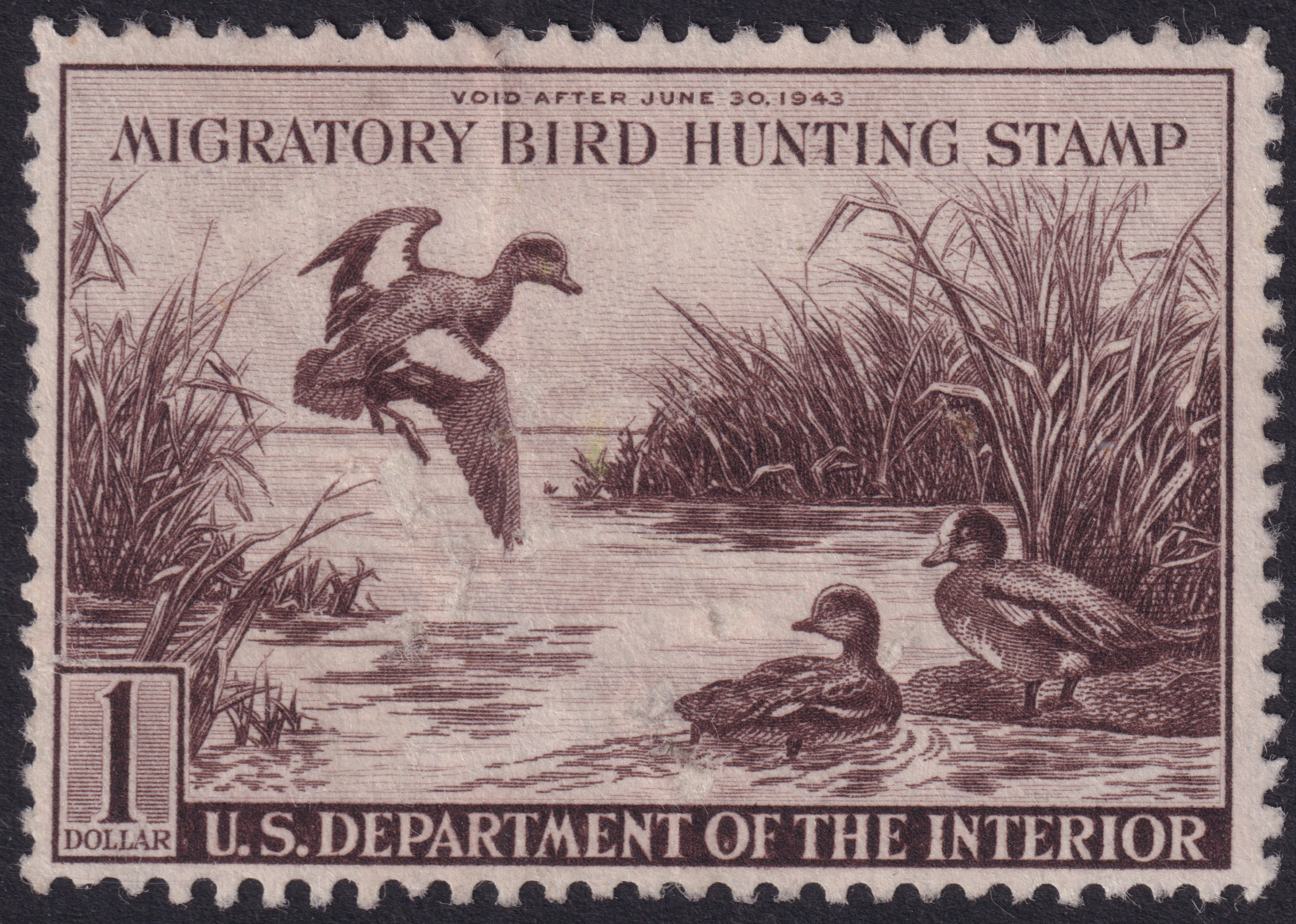 Stamp Picture