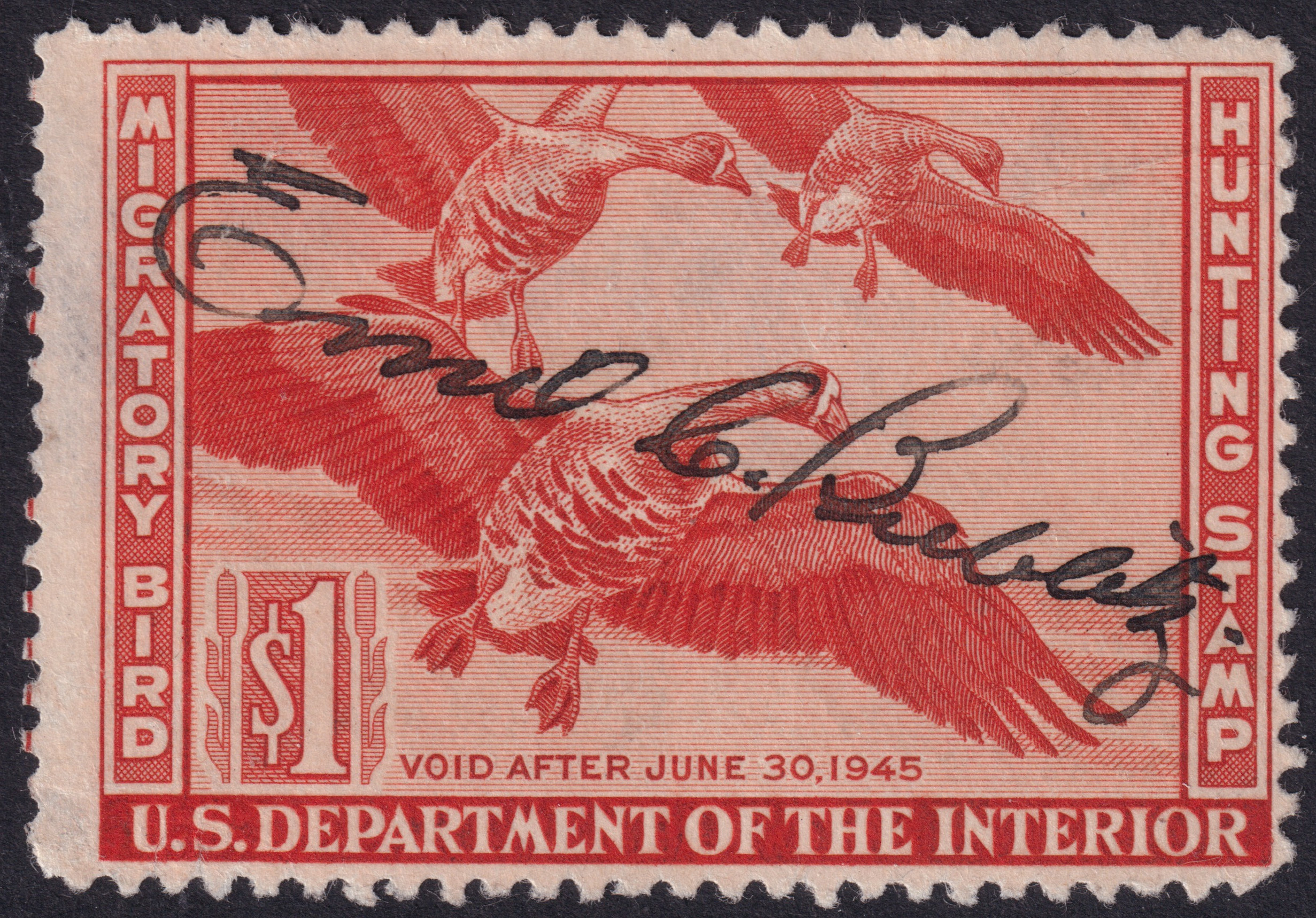 Stamp Picture
