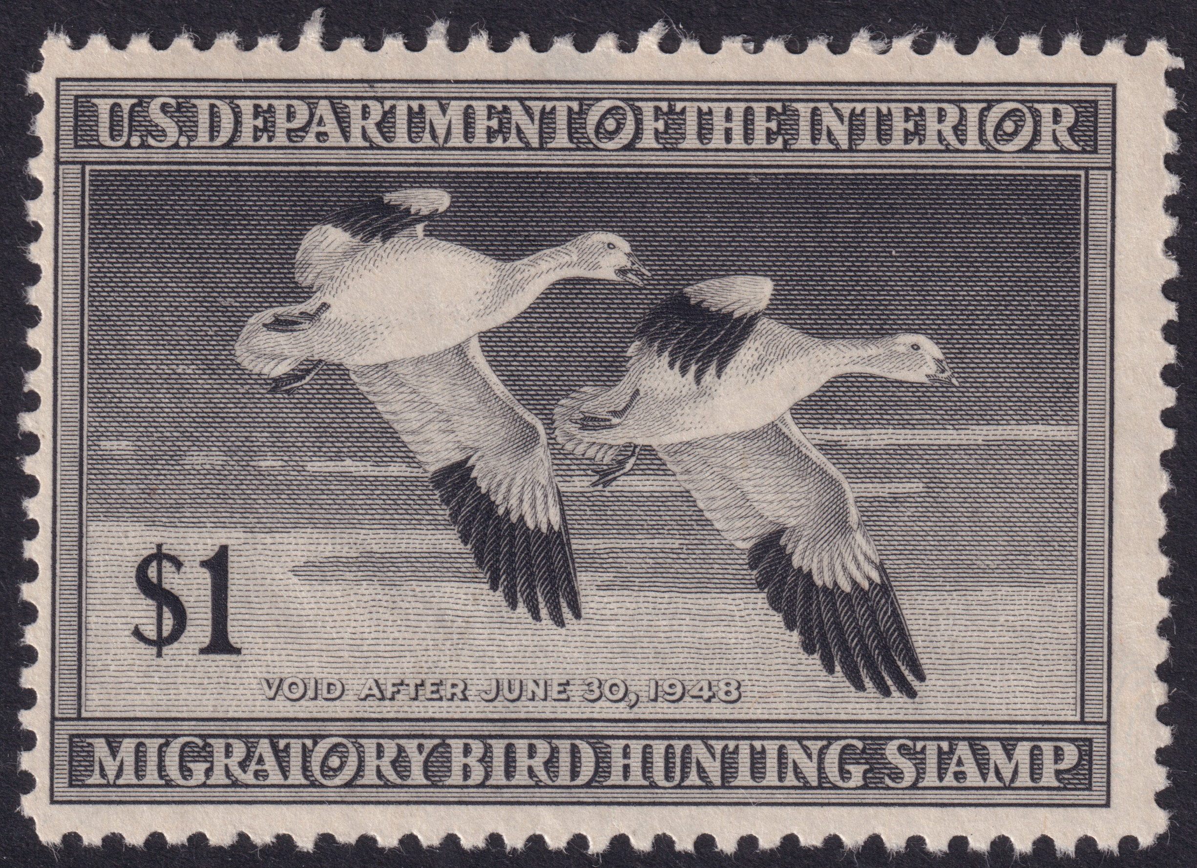 Stamp Picture