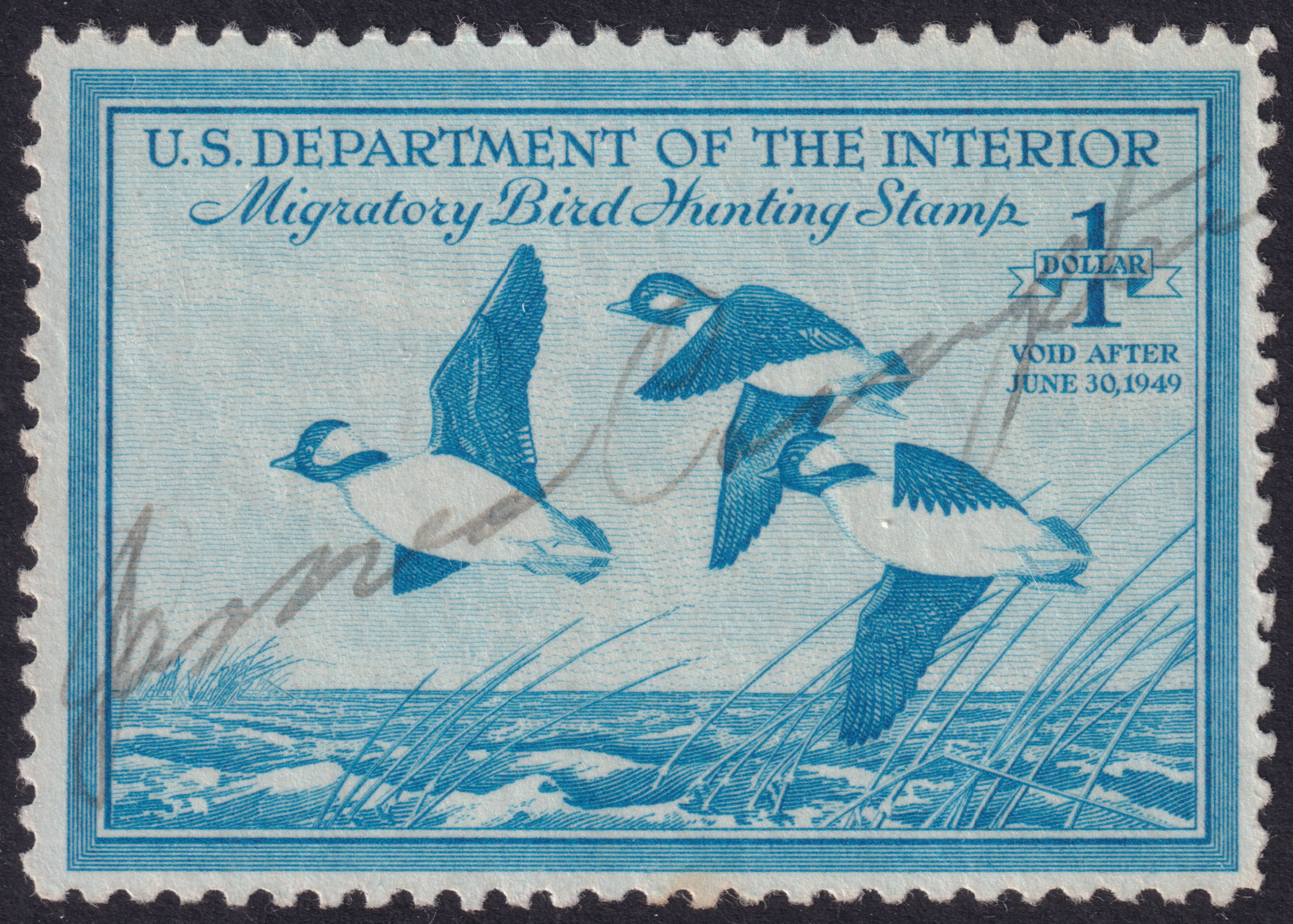 Stamp Picture