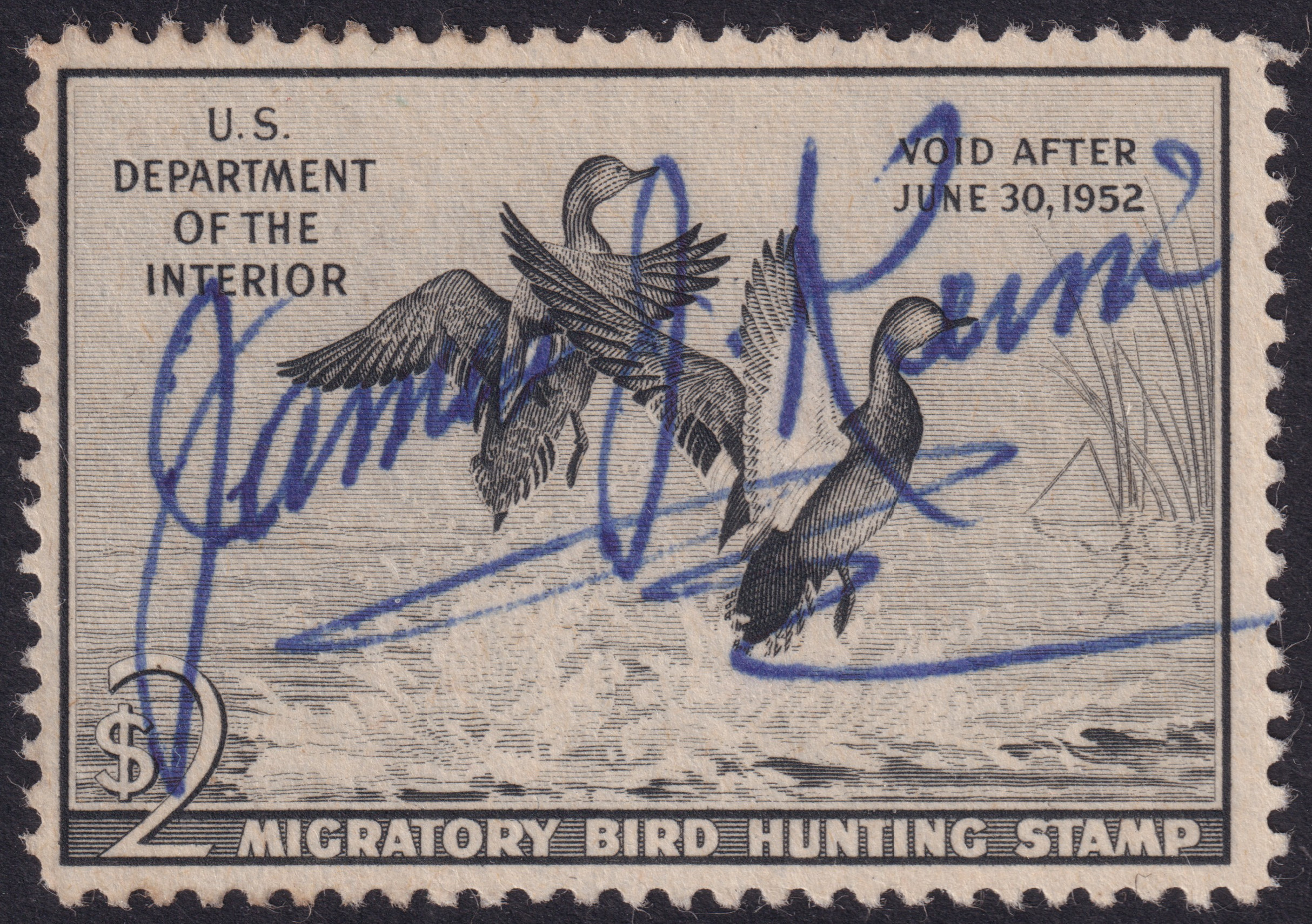 Stamp Picture