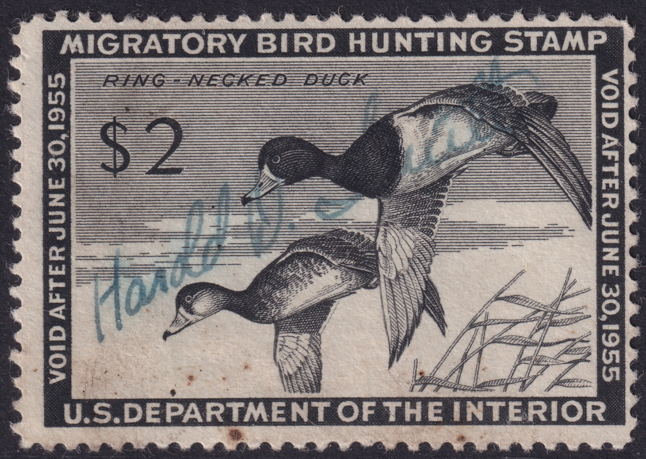 Stamp Picture
