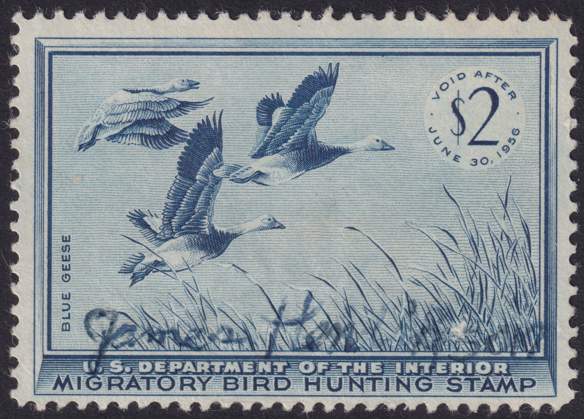 Stamp Picture