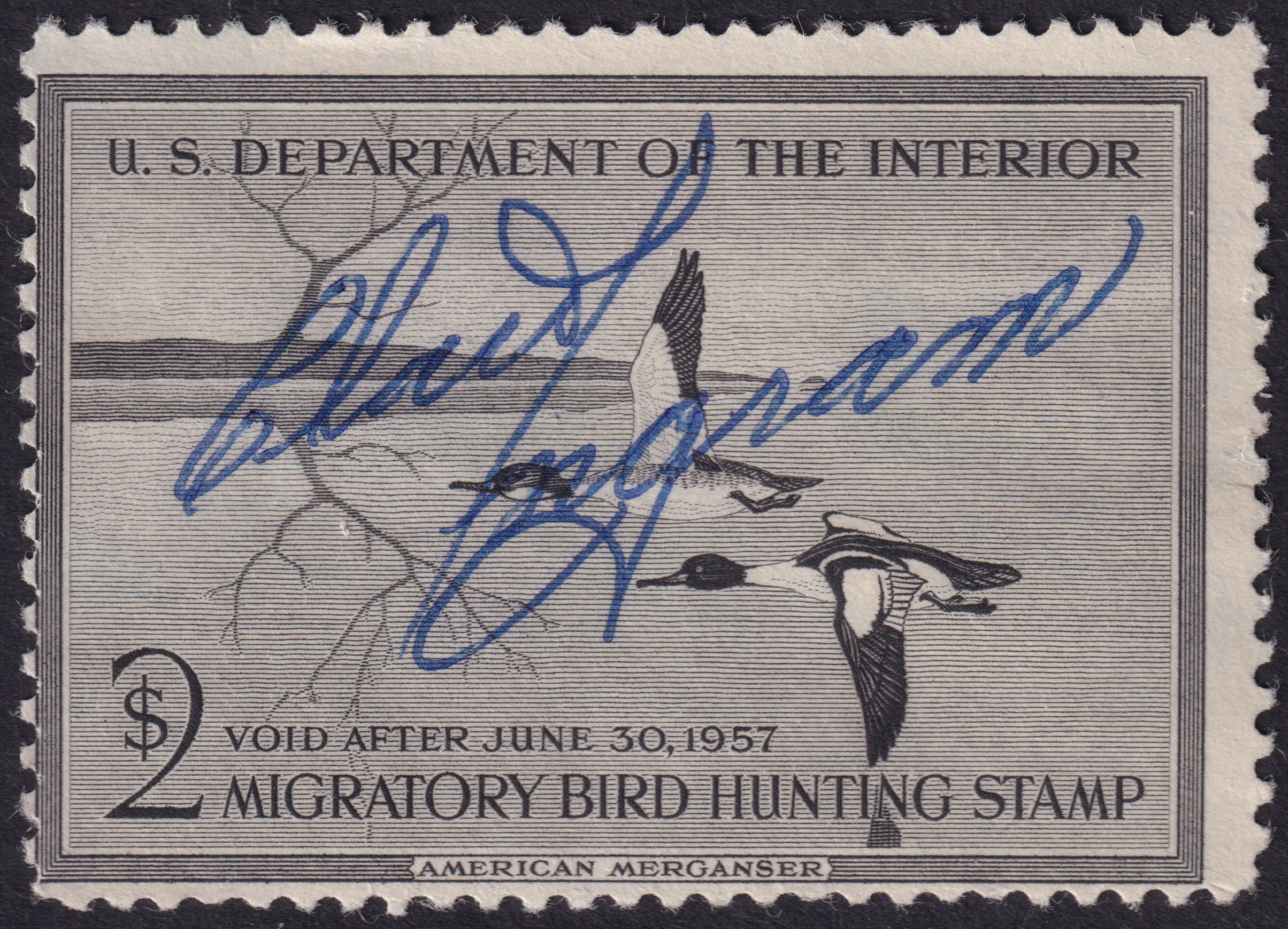 Stamp Picture
