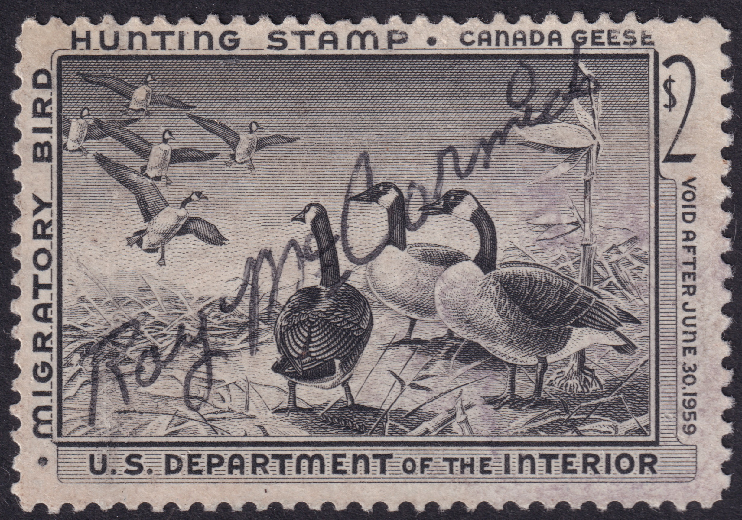 Stamp Picture