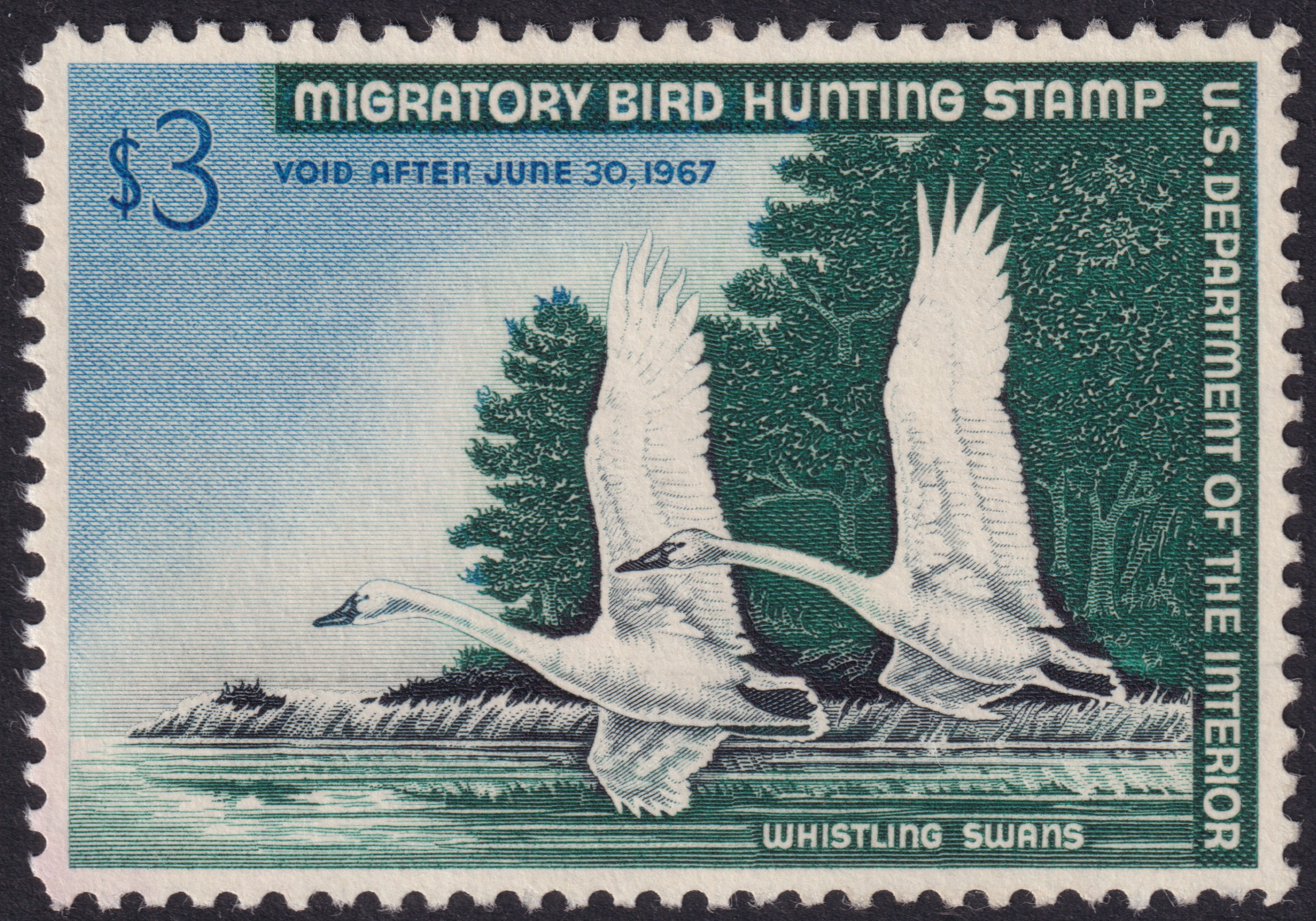 Stamp Picture