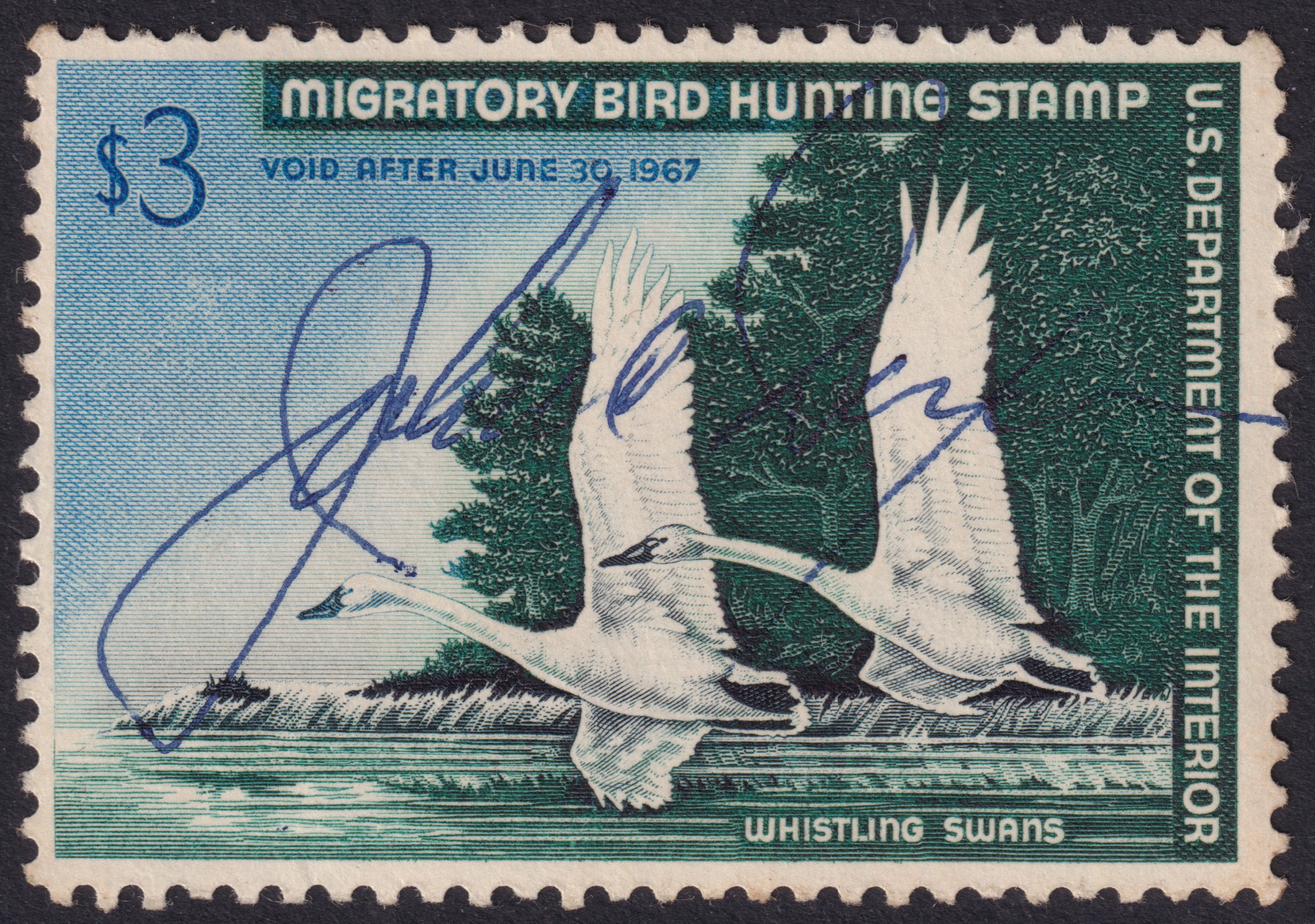 Stamp Picture