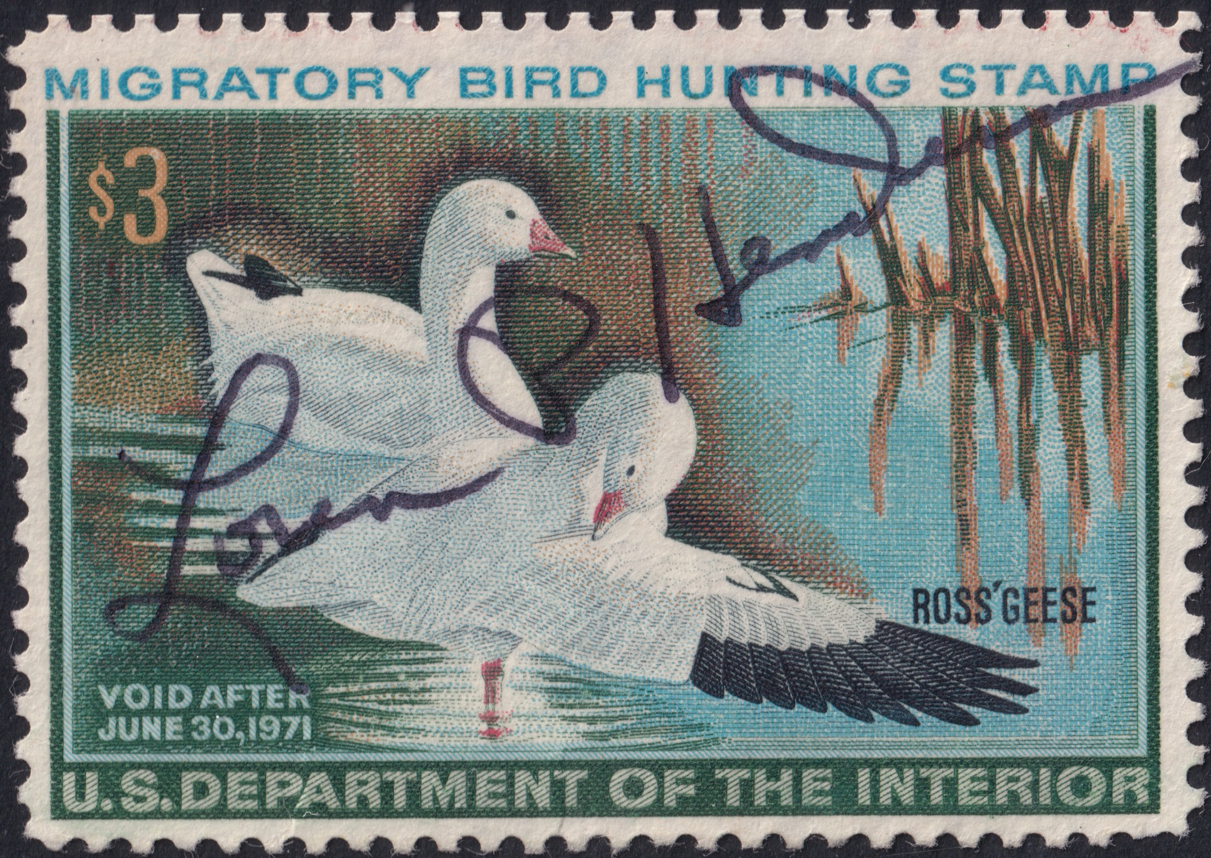 Stamp Picture