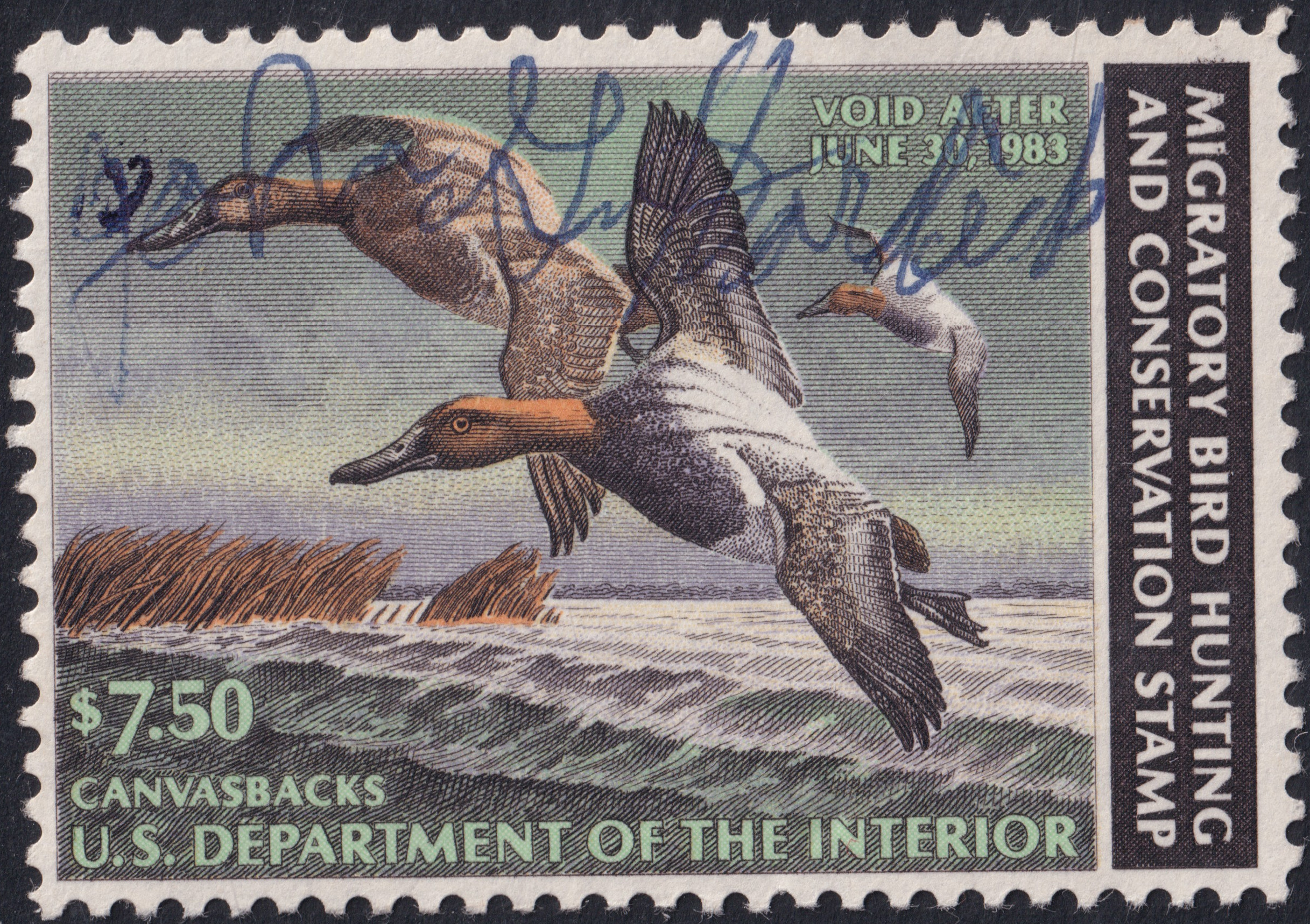 Stamp Picture