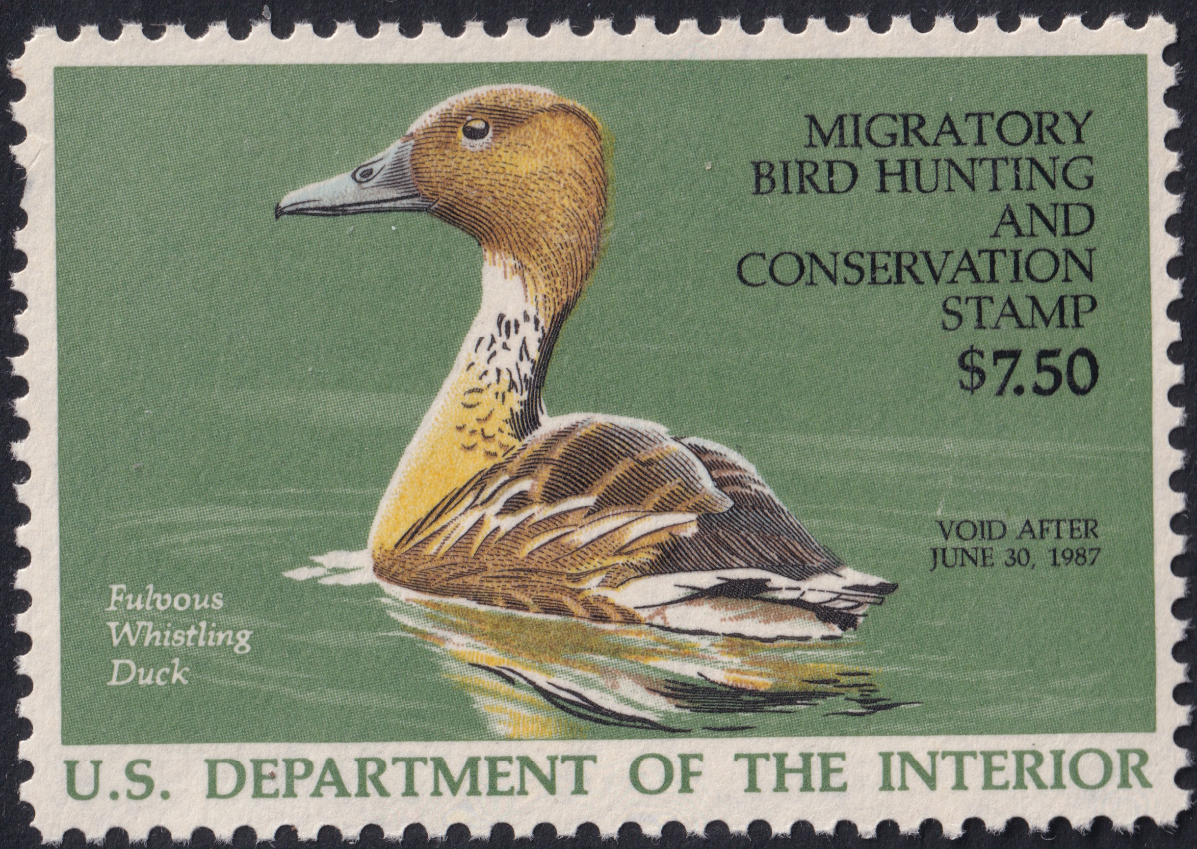 Stamp Picture
