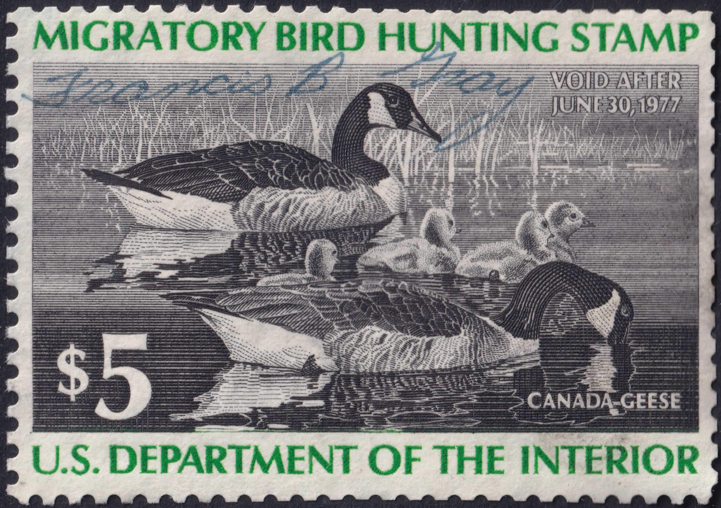 Stamp Picture