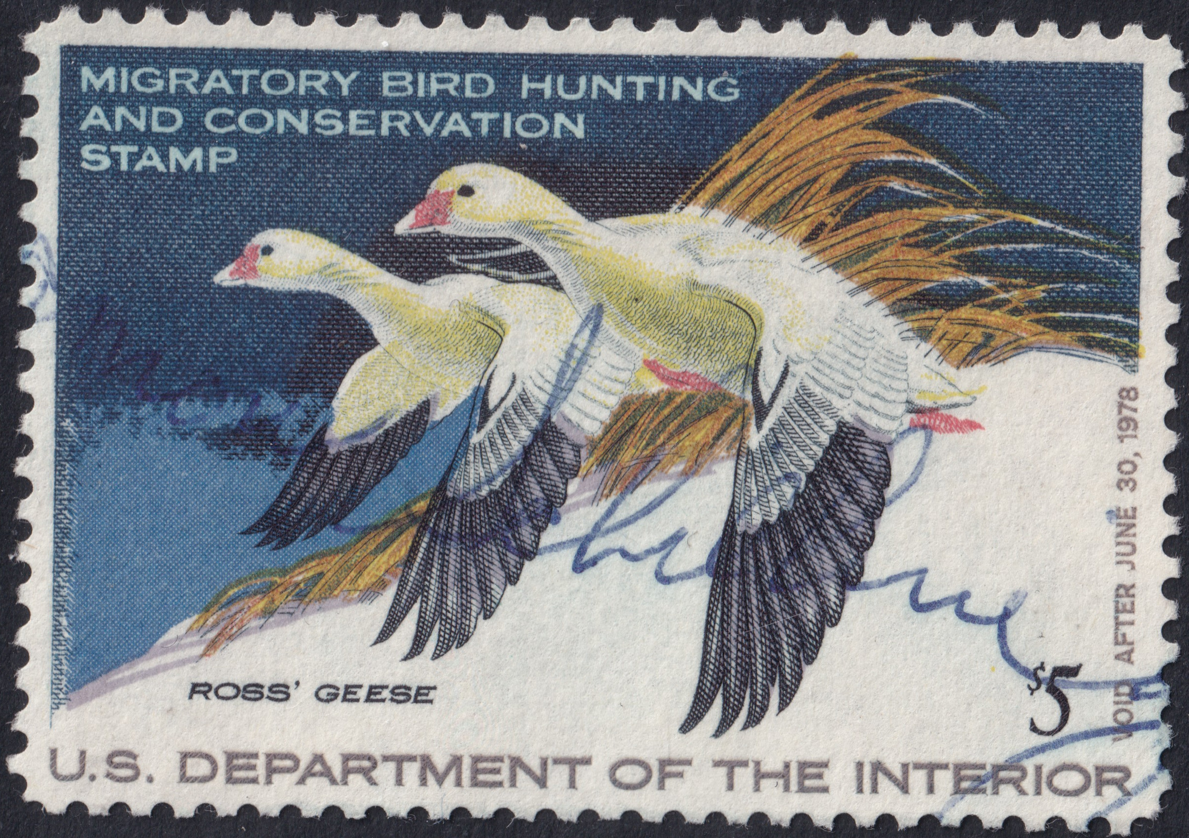 Stamp Picture