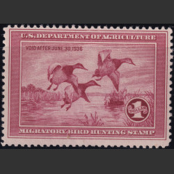 Picture of Lot #54637