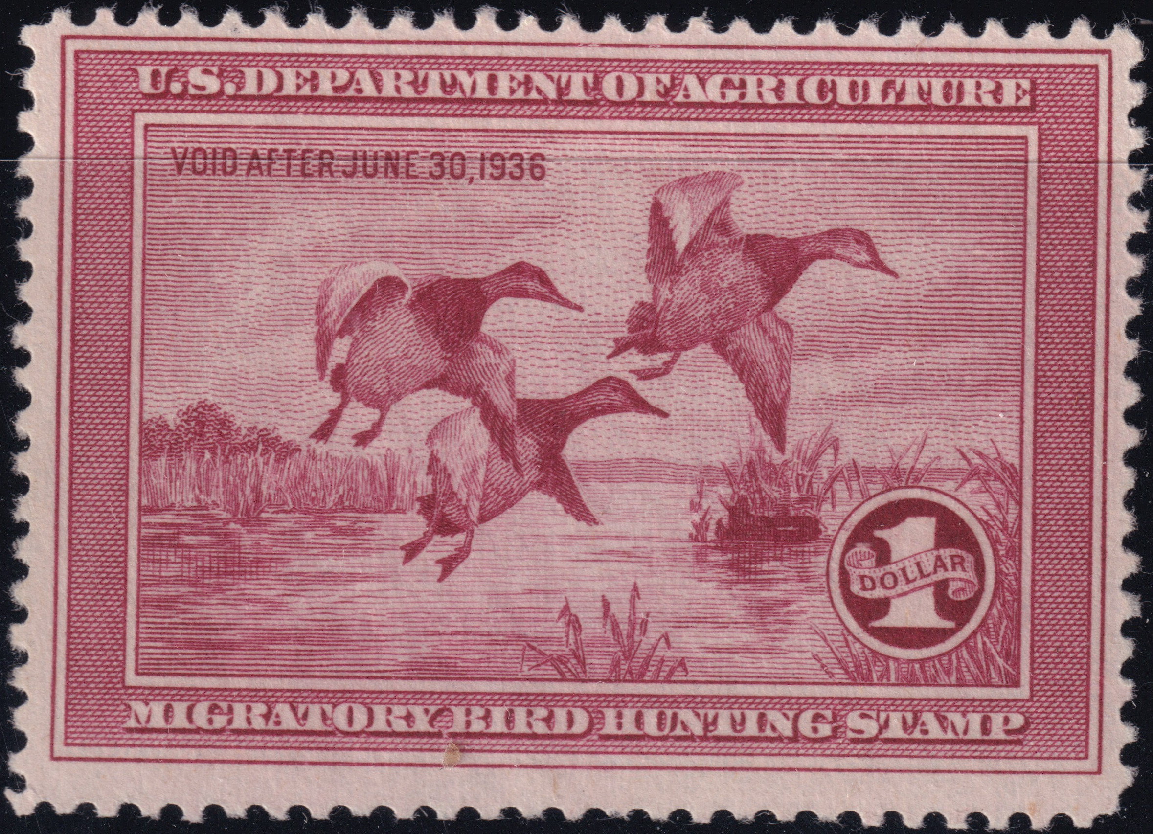 Stamp Picture