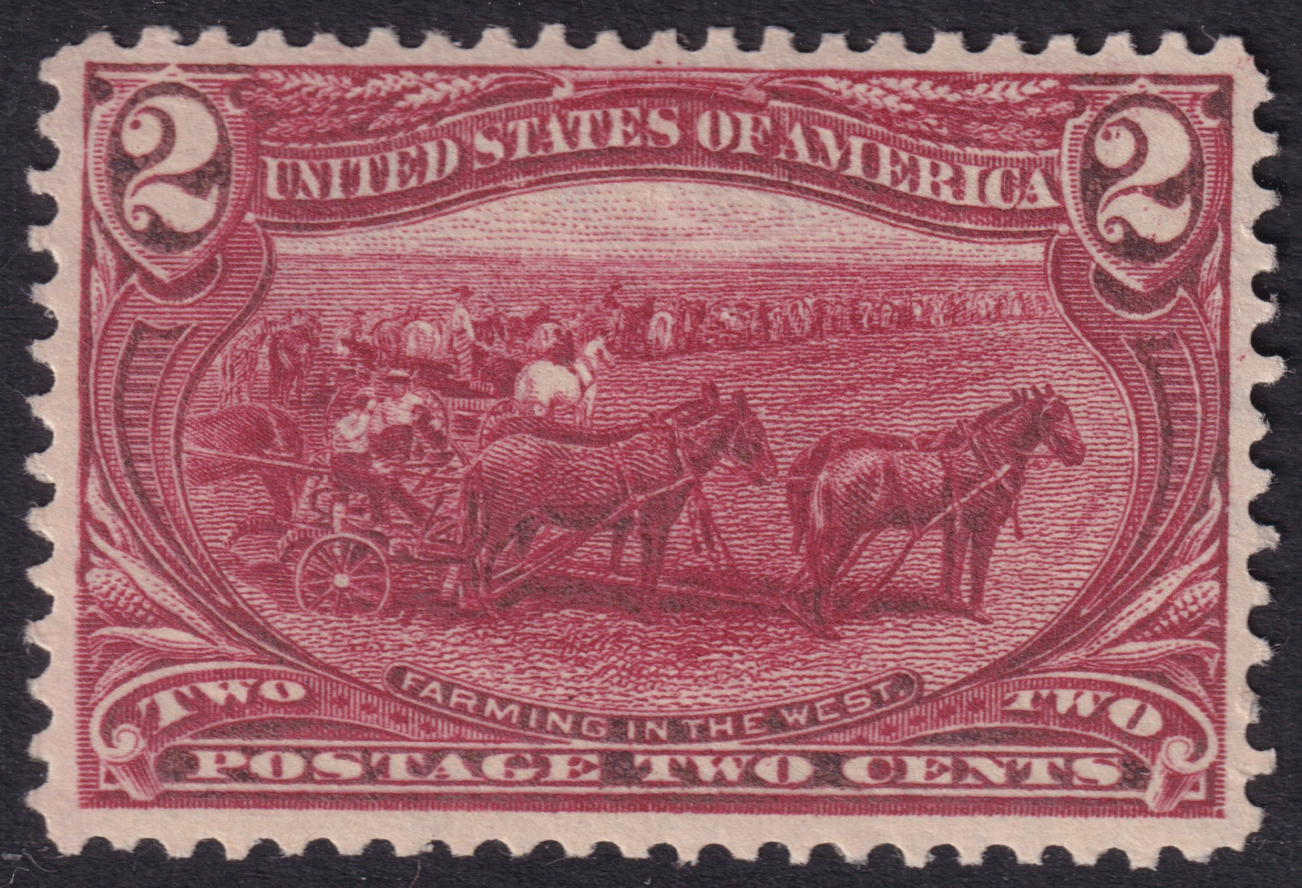Stamp Picture