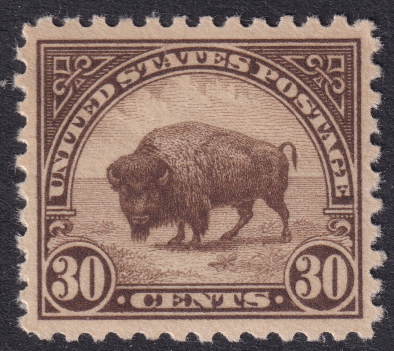 Stamp Picture