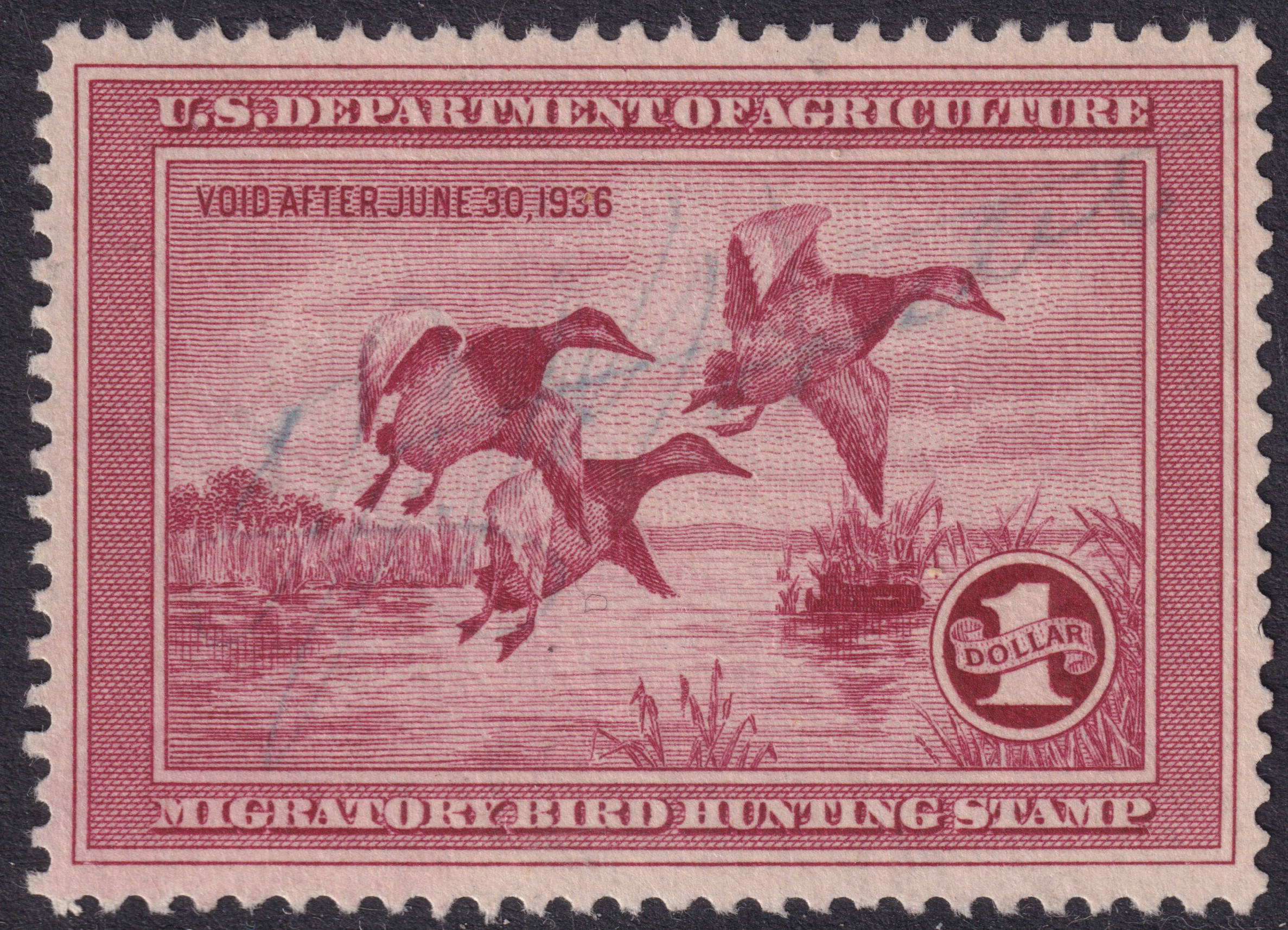 Stamp Picture