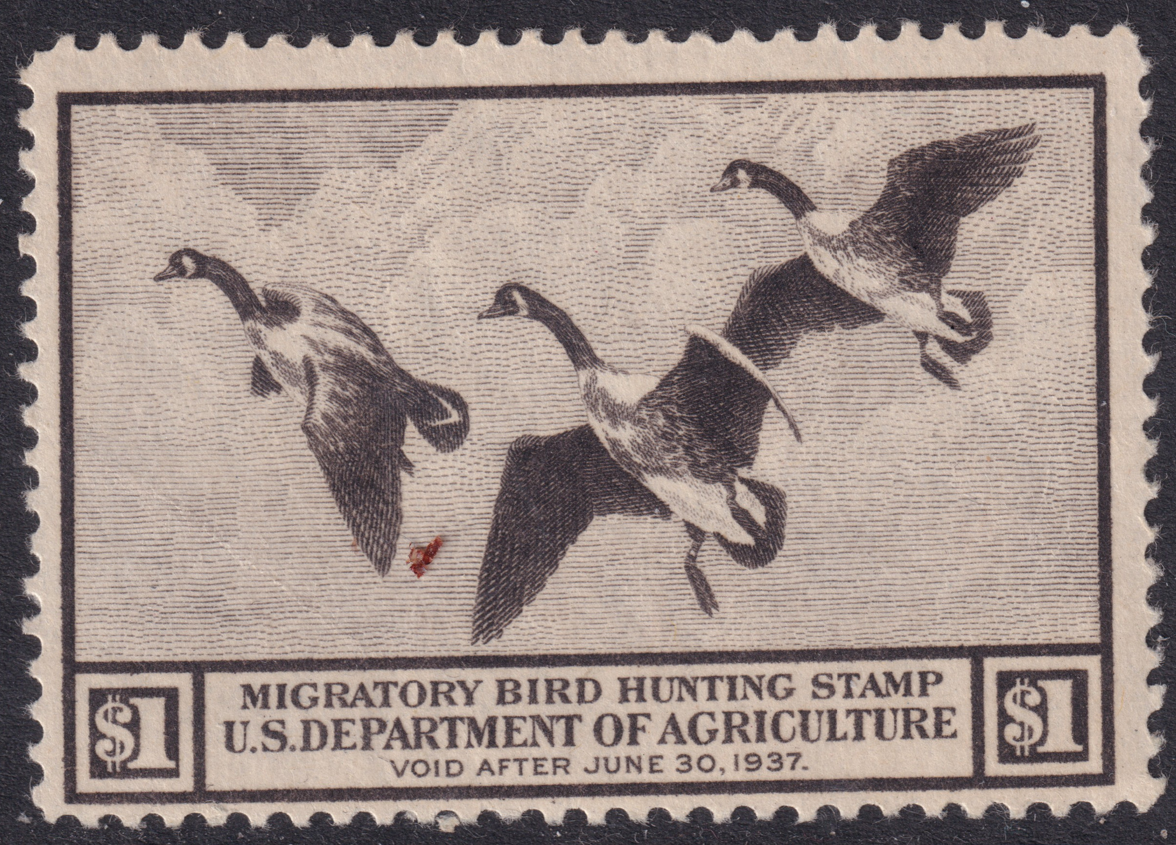 Stamp Picture