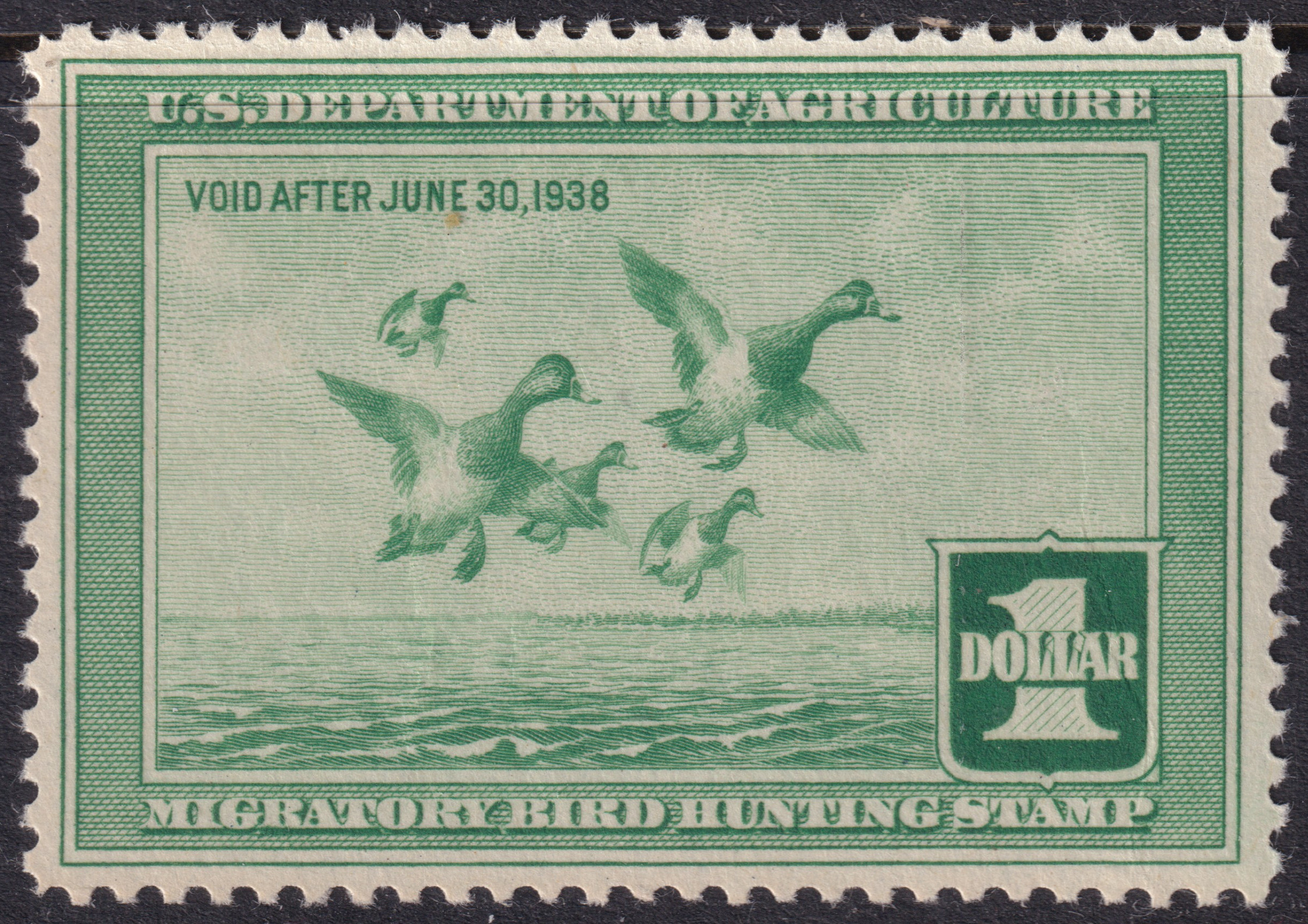 Stamp Picture