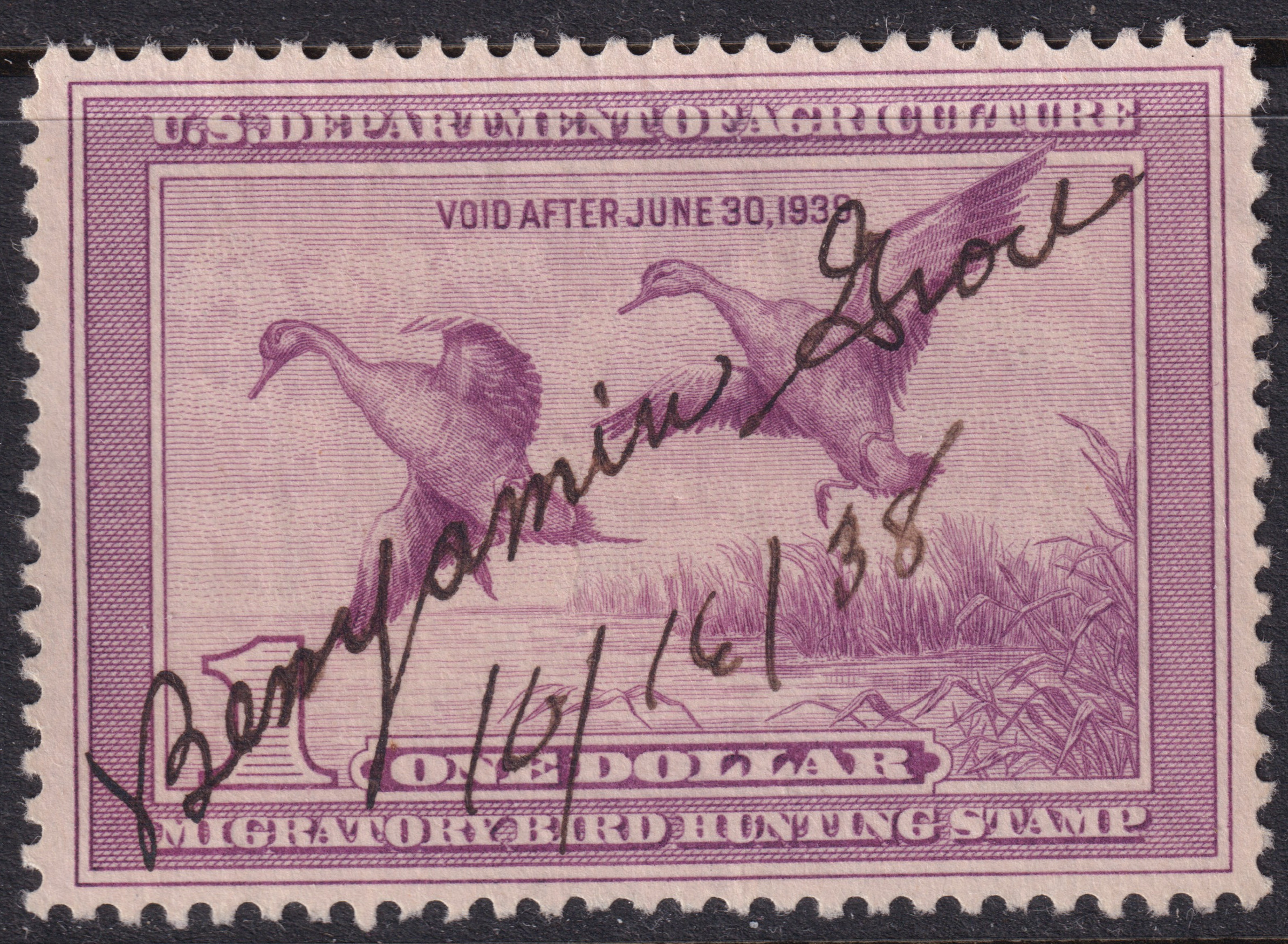 Stamp Picture