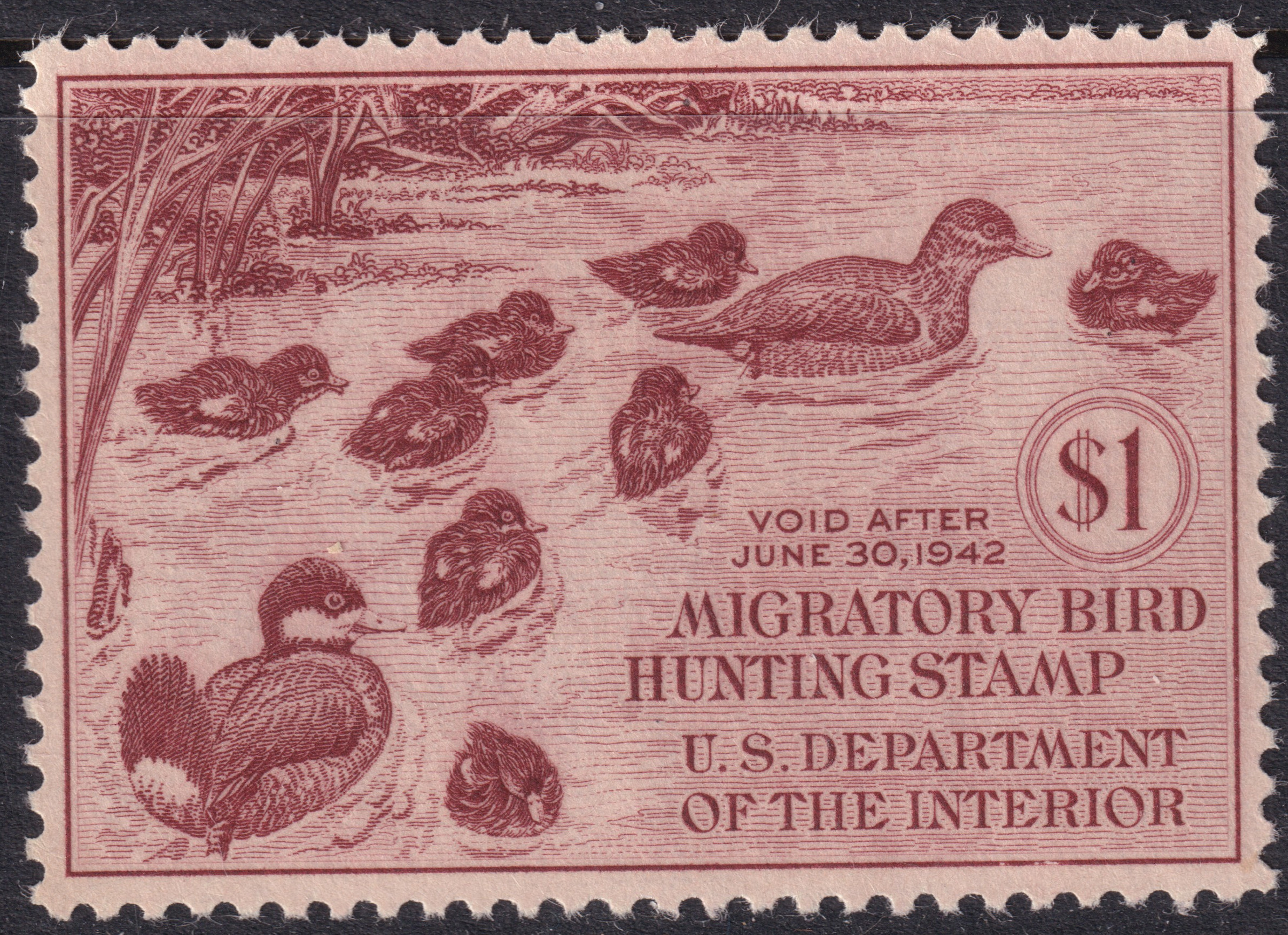Stamp Picture