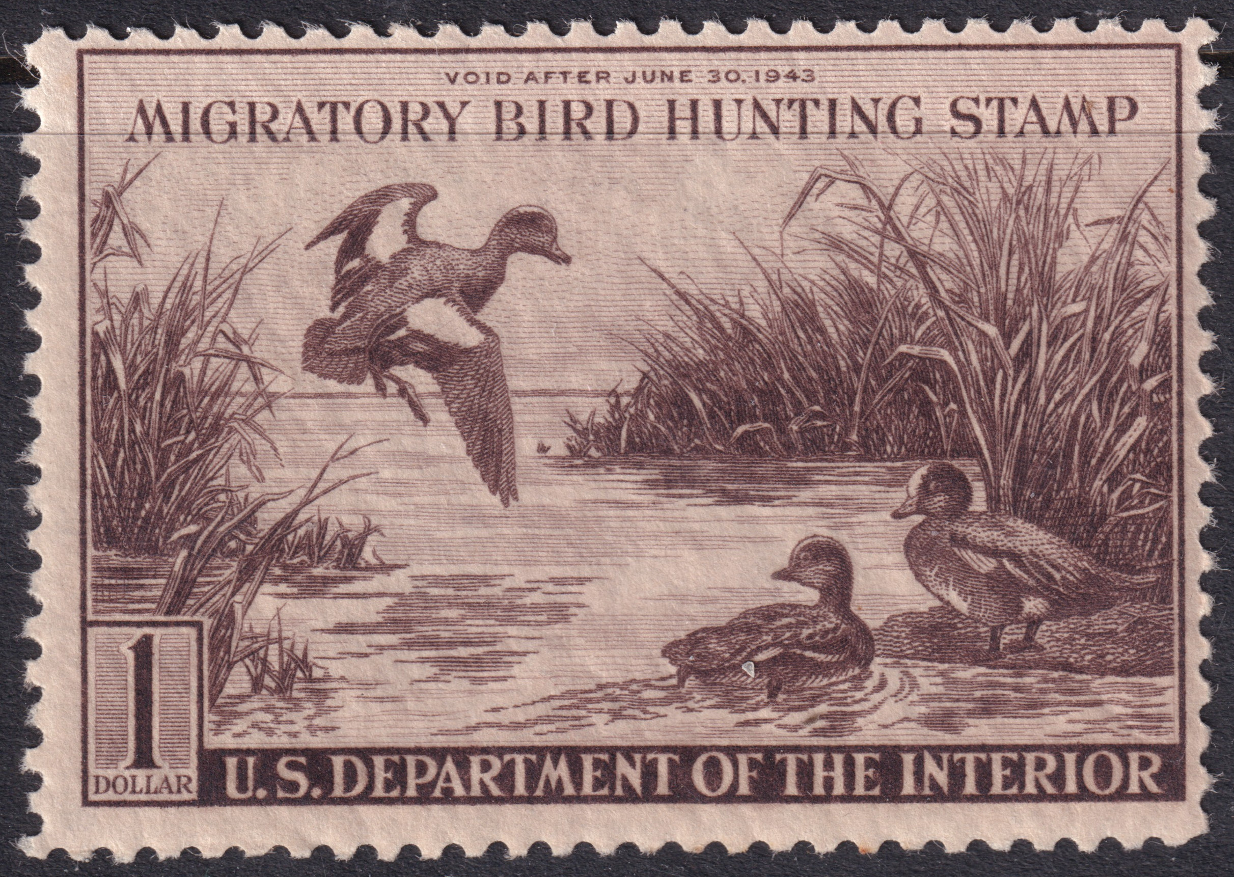Stamp Picture