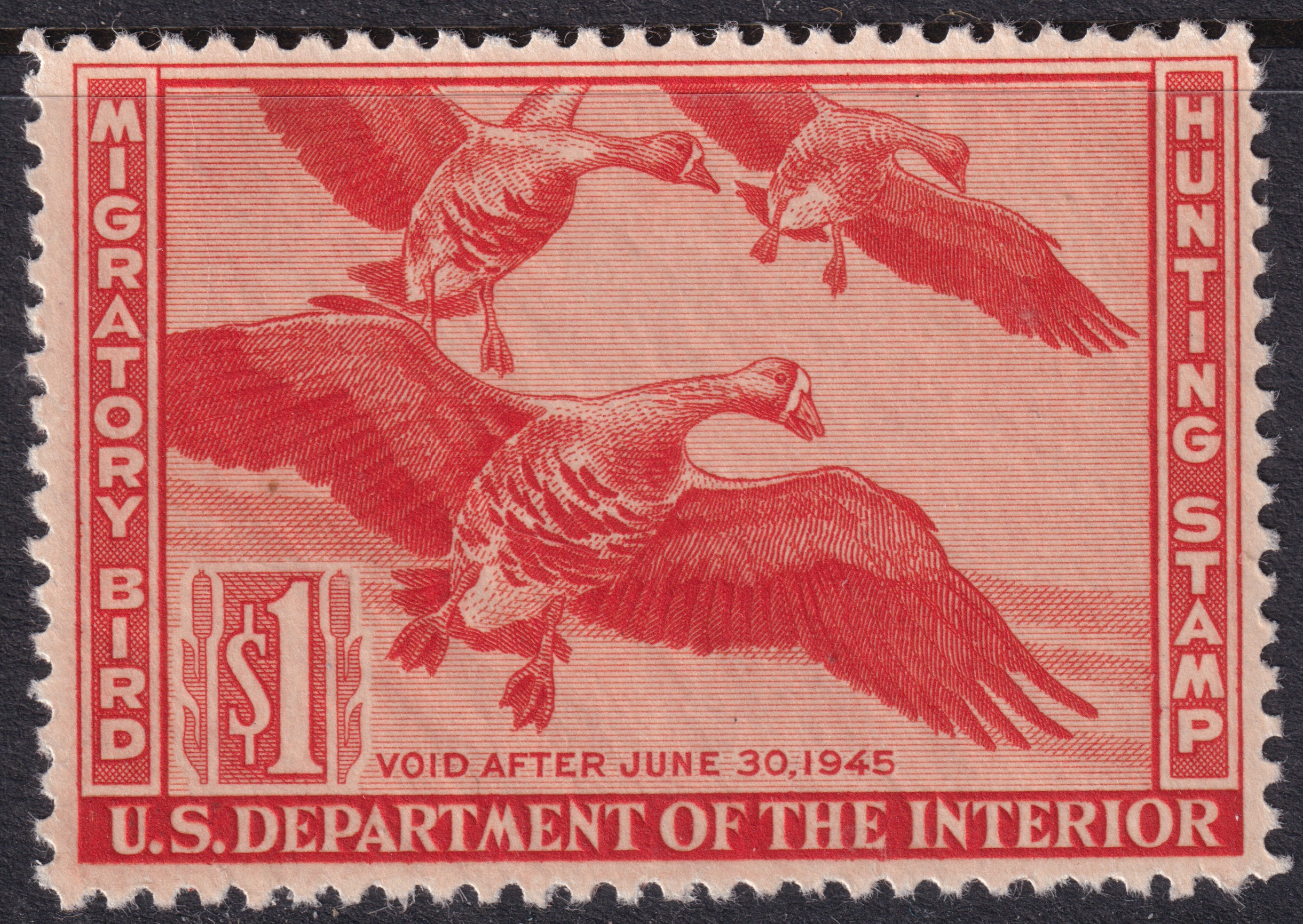 Stamp Picture