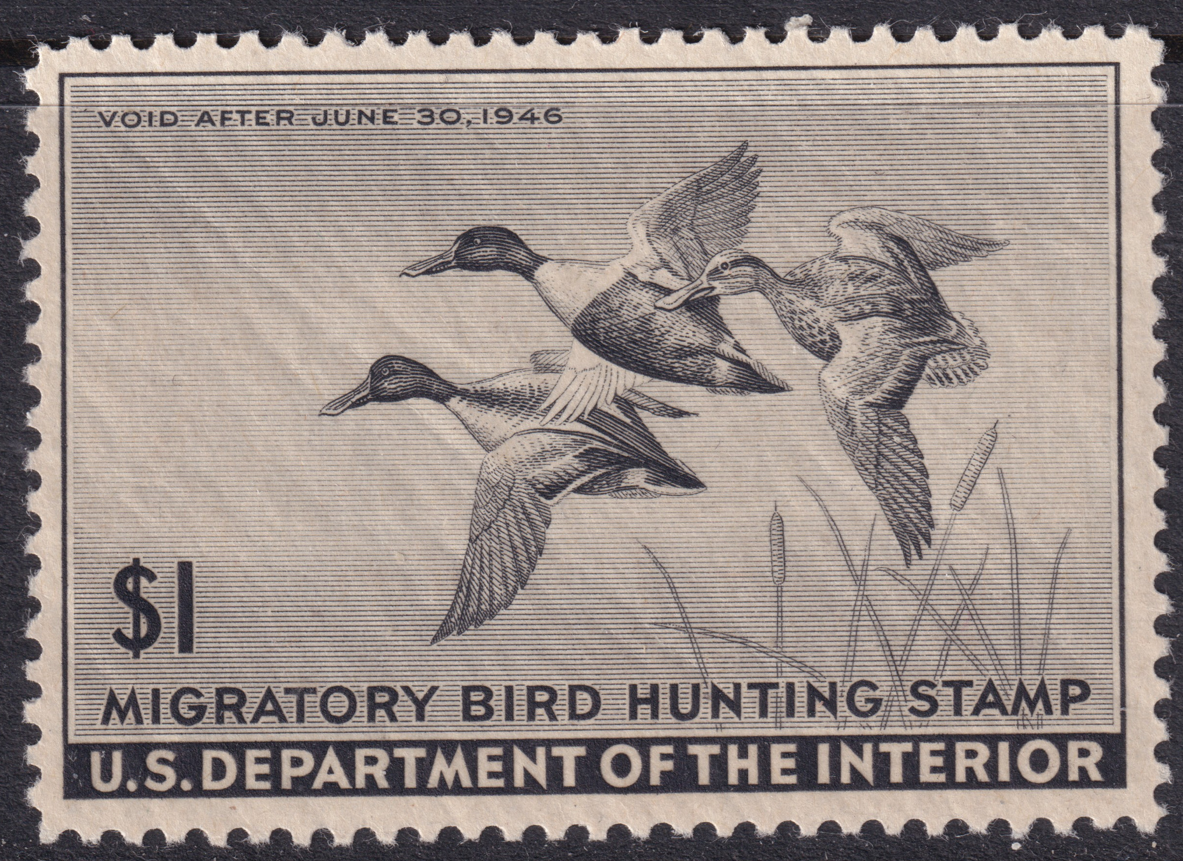 Stamp Picture