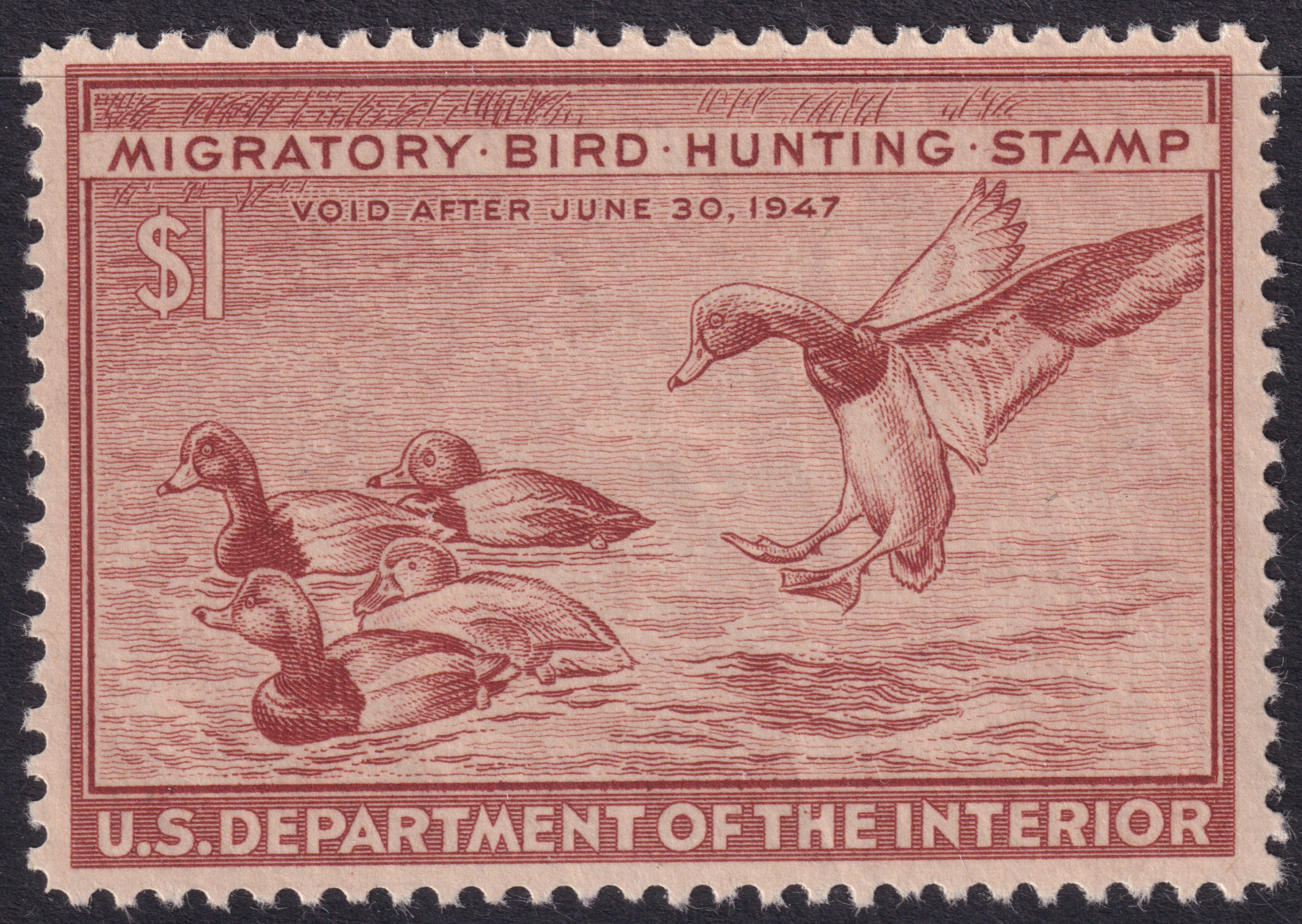 Stamp Picture