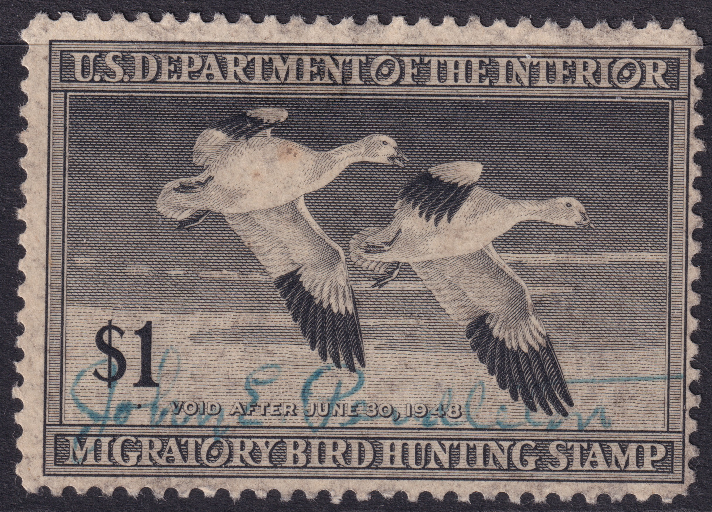 Stamp Picture