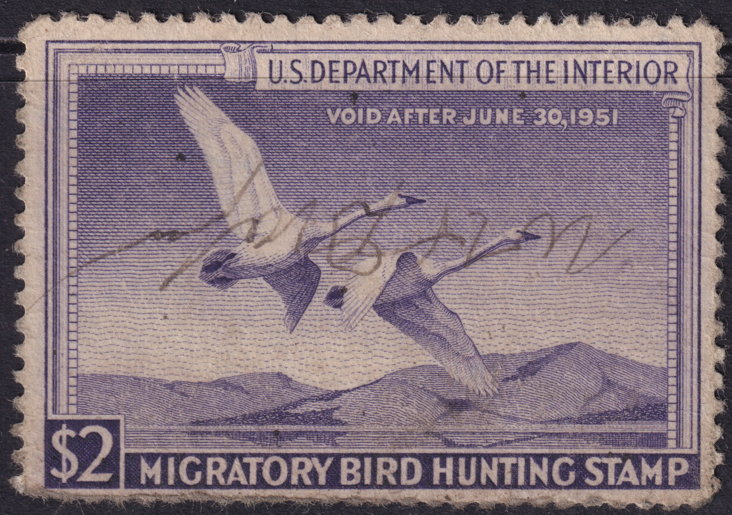 Stamp Picture