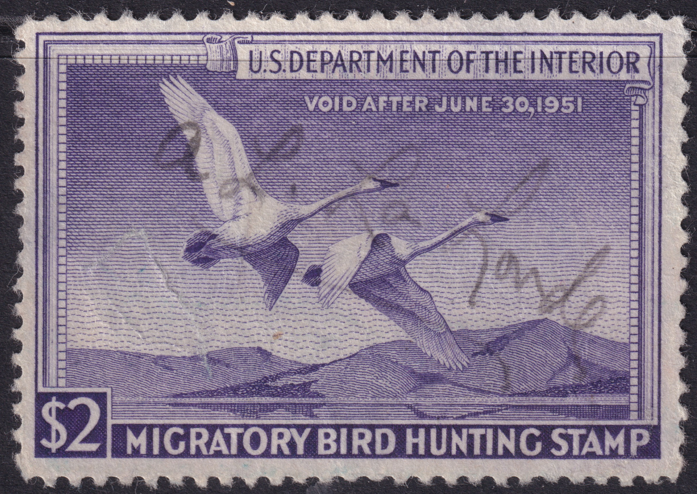 Stamp Picture
