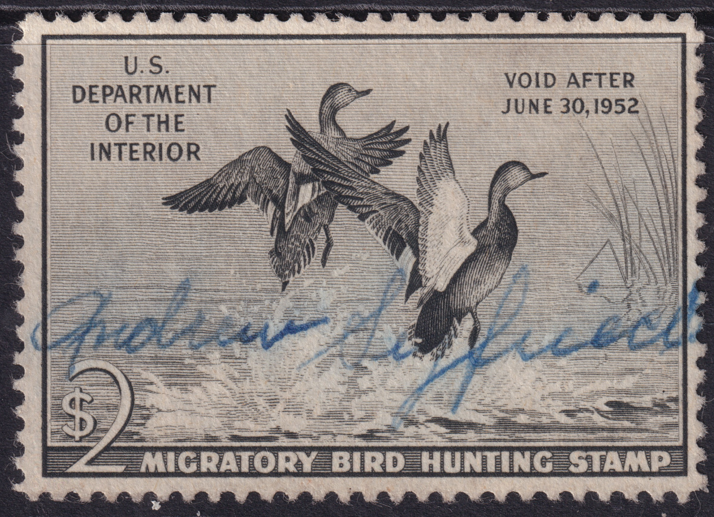 Stamp Picture