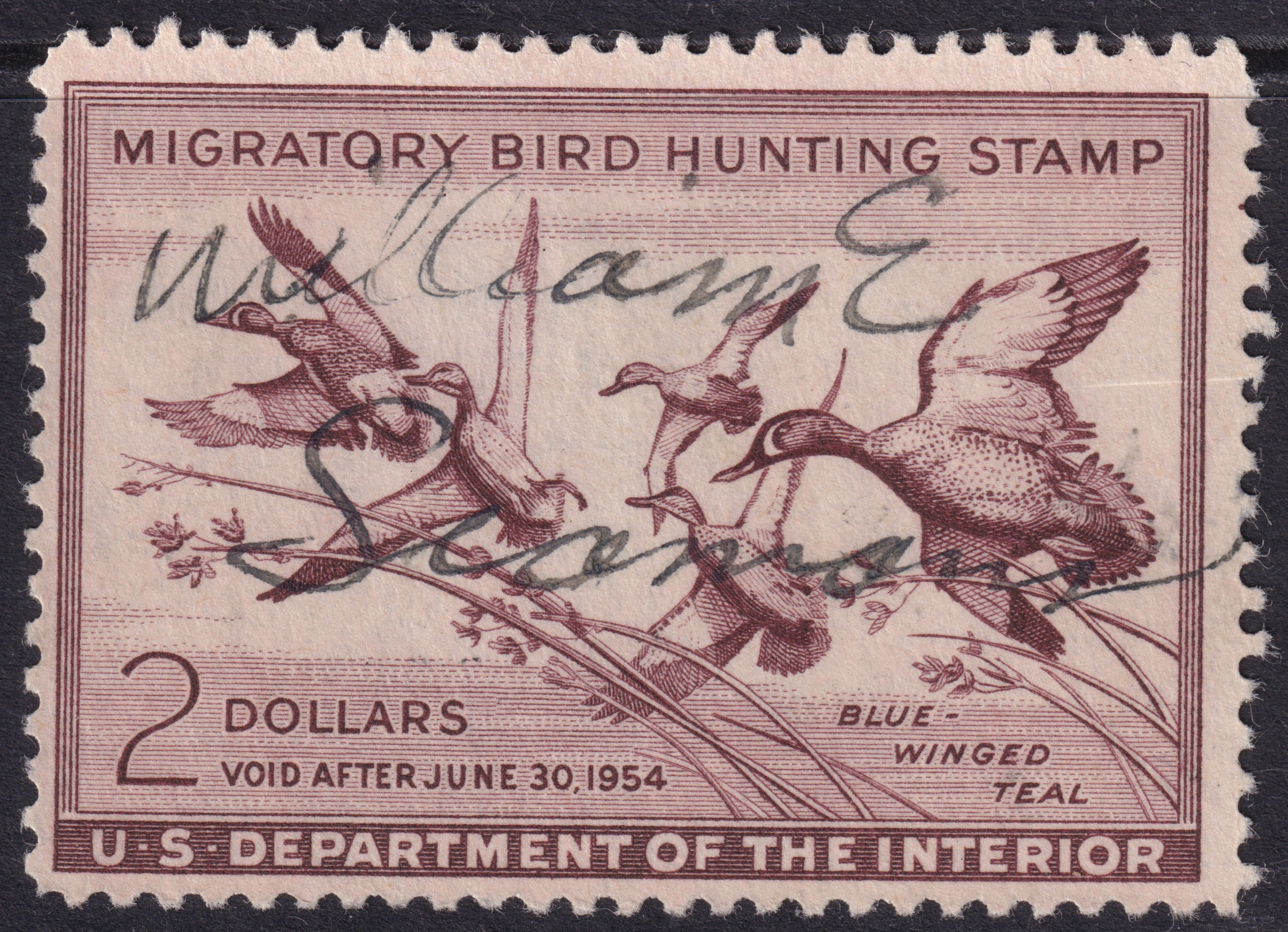 Stamp Picture