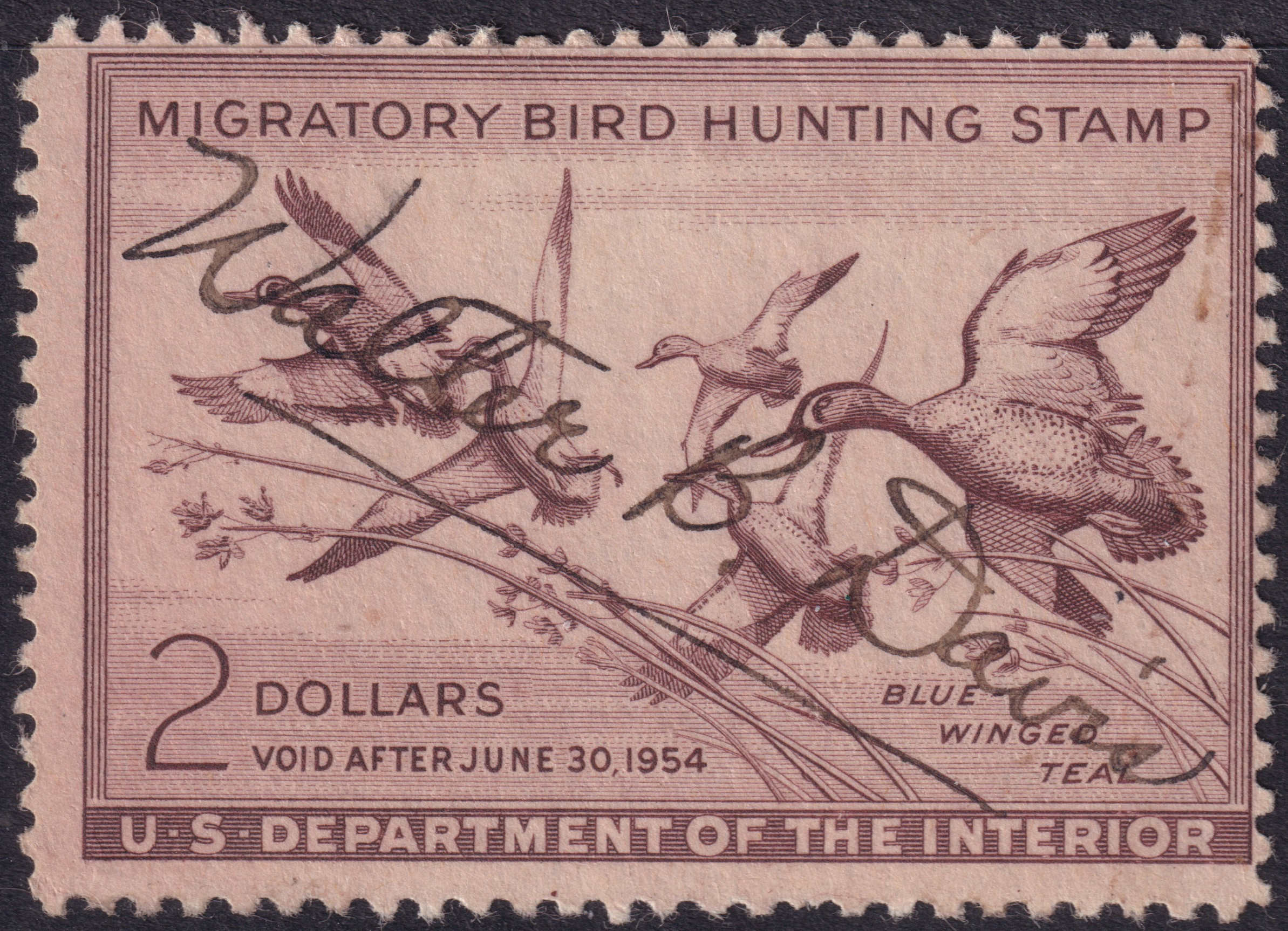 Stamp Picture