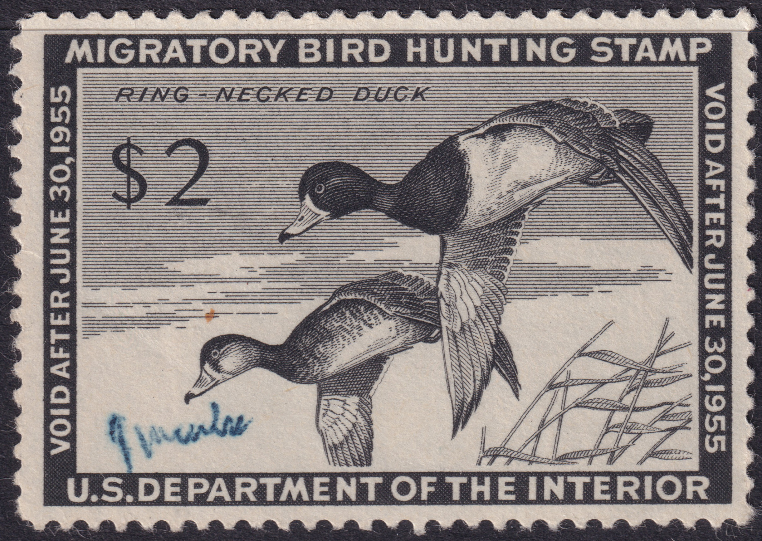 Stamp Picture