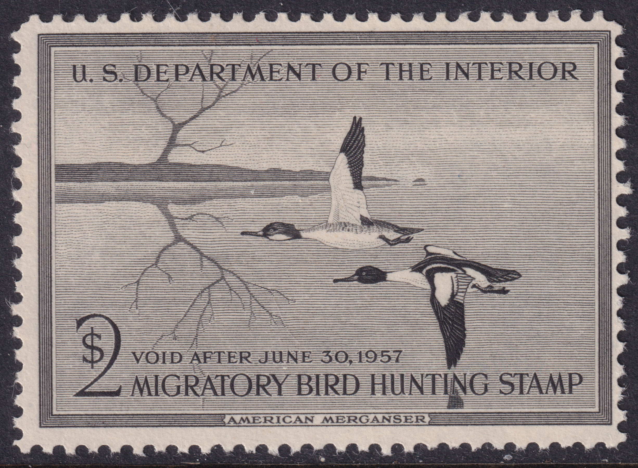 Stamp Picture