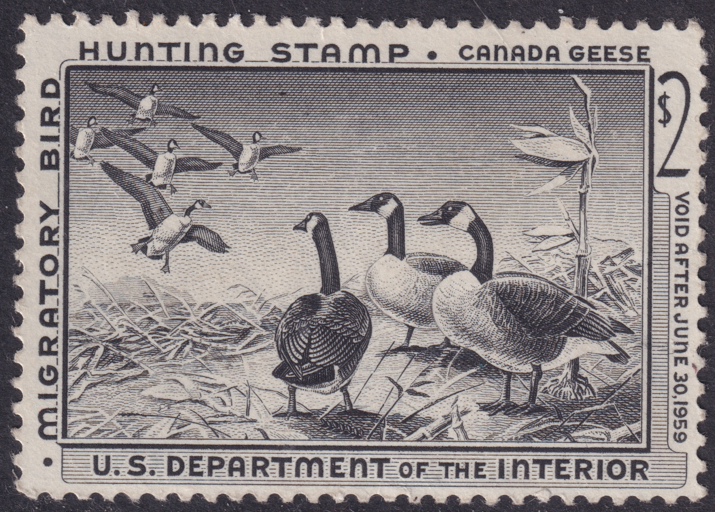 Stamp Picture