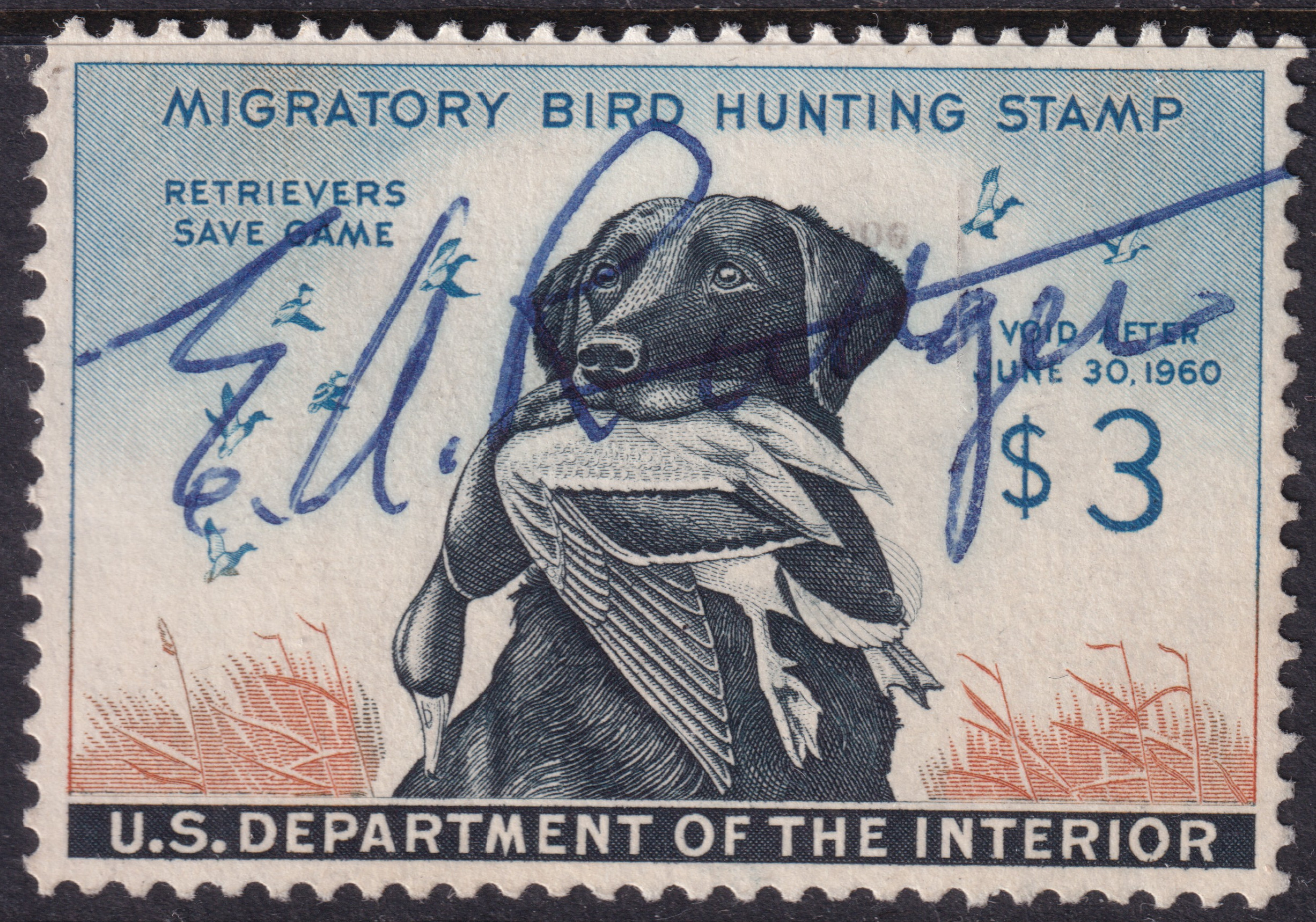 Stamp Picture