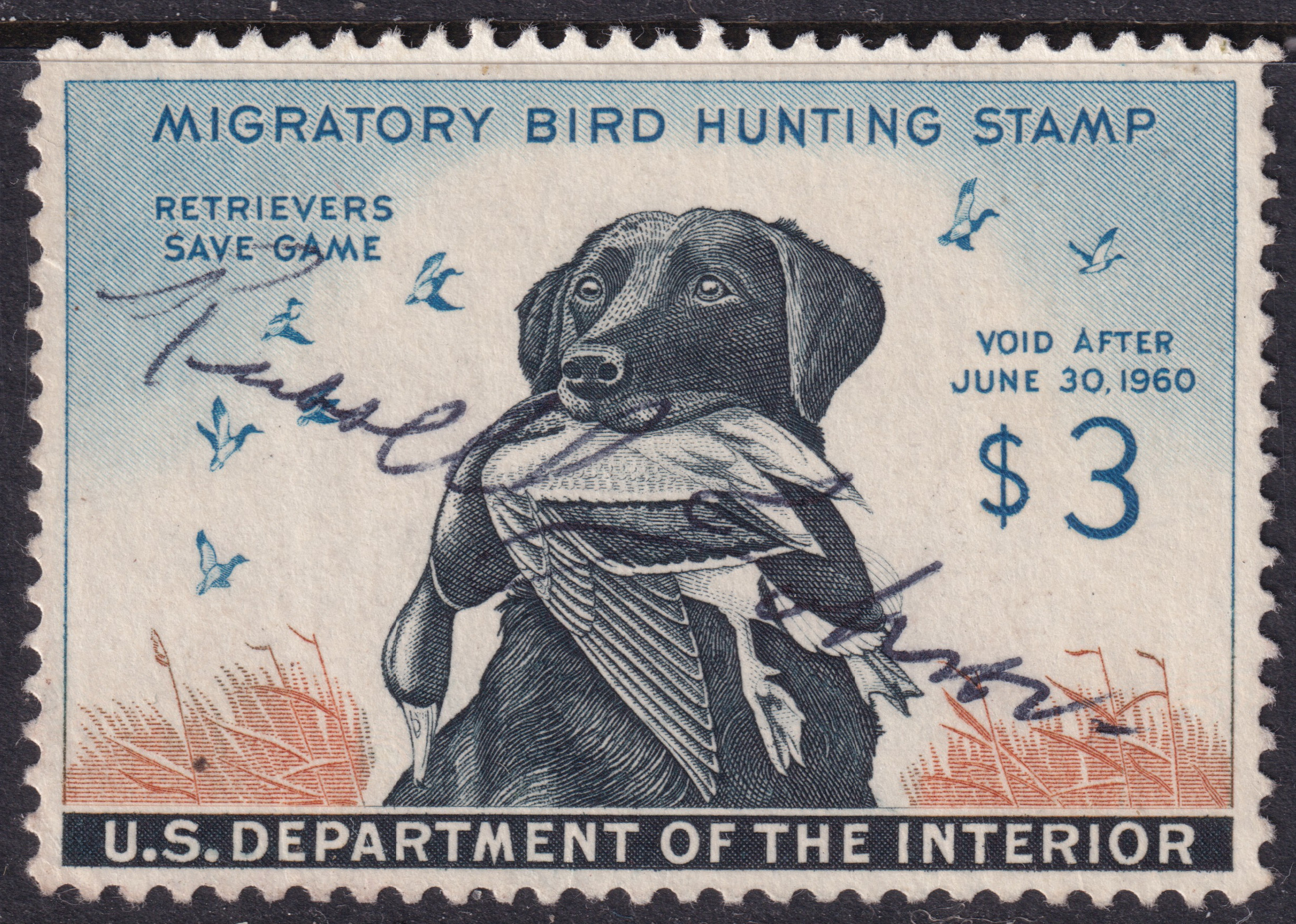 Stamp Picture