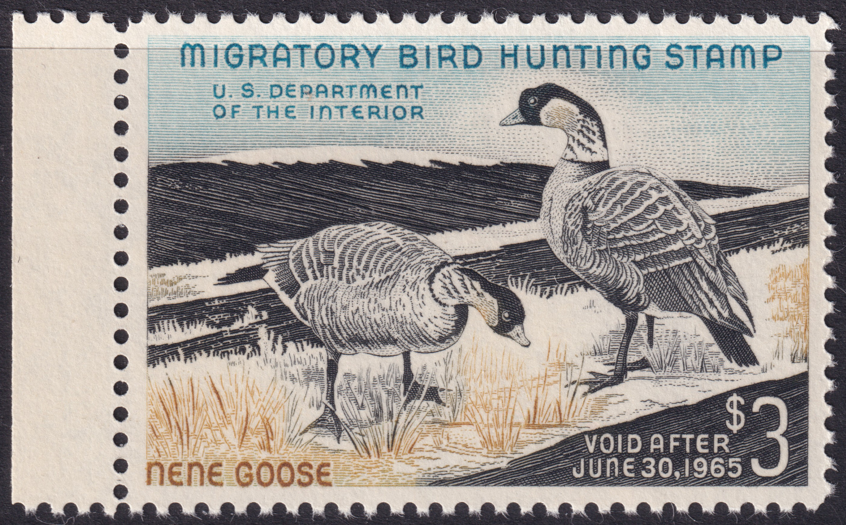 Stamp Picture