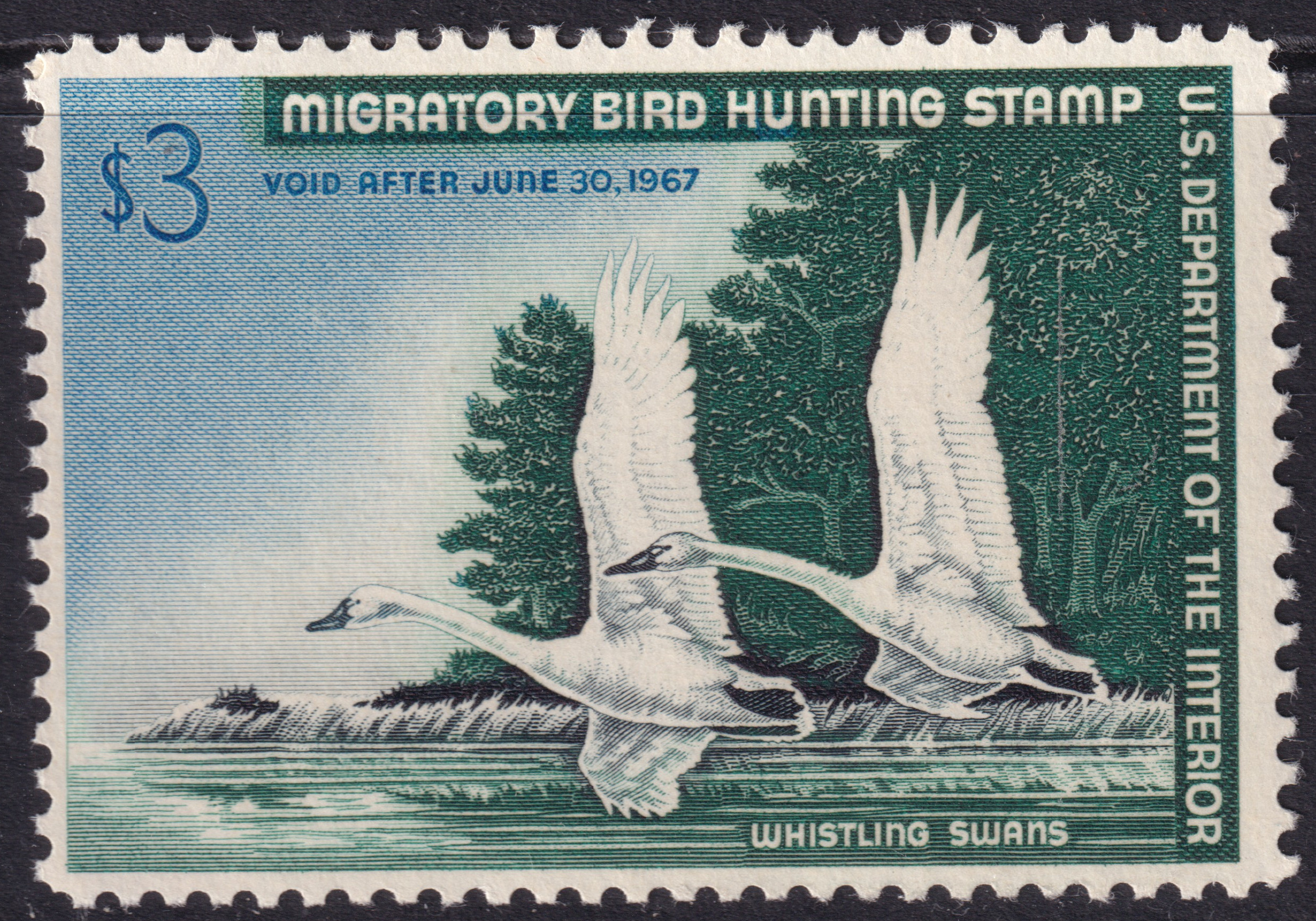 Stamp Picture